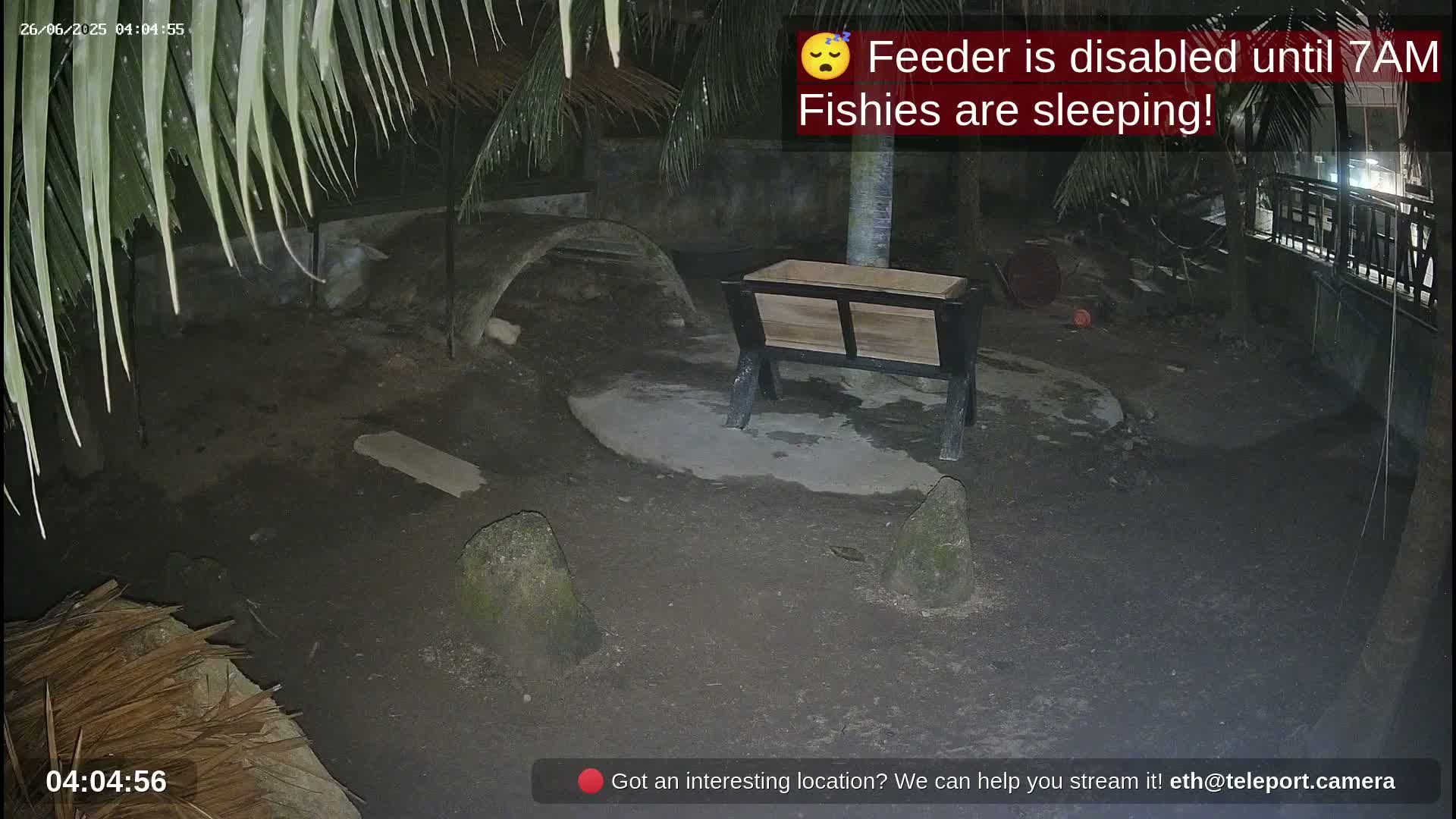 Zoo Cafe · Feed the Life of Fishes, Emus, Deers, Turtles, Malas  Live Cam  - Amphoe Ko Pha - Ngan, Surat Thani, Thailand