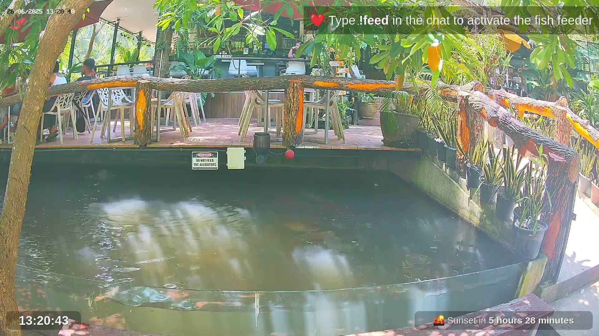 Zoo Cafe · Feed the Life of Fishes, Emus, Deers, Turtles, Malas  Live Cam  - Amphoe Ko Pha - Ngan, Surat Thani, Thailand