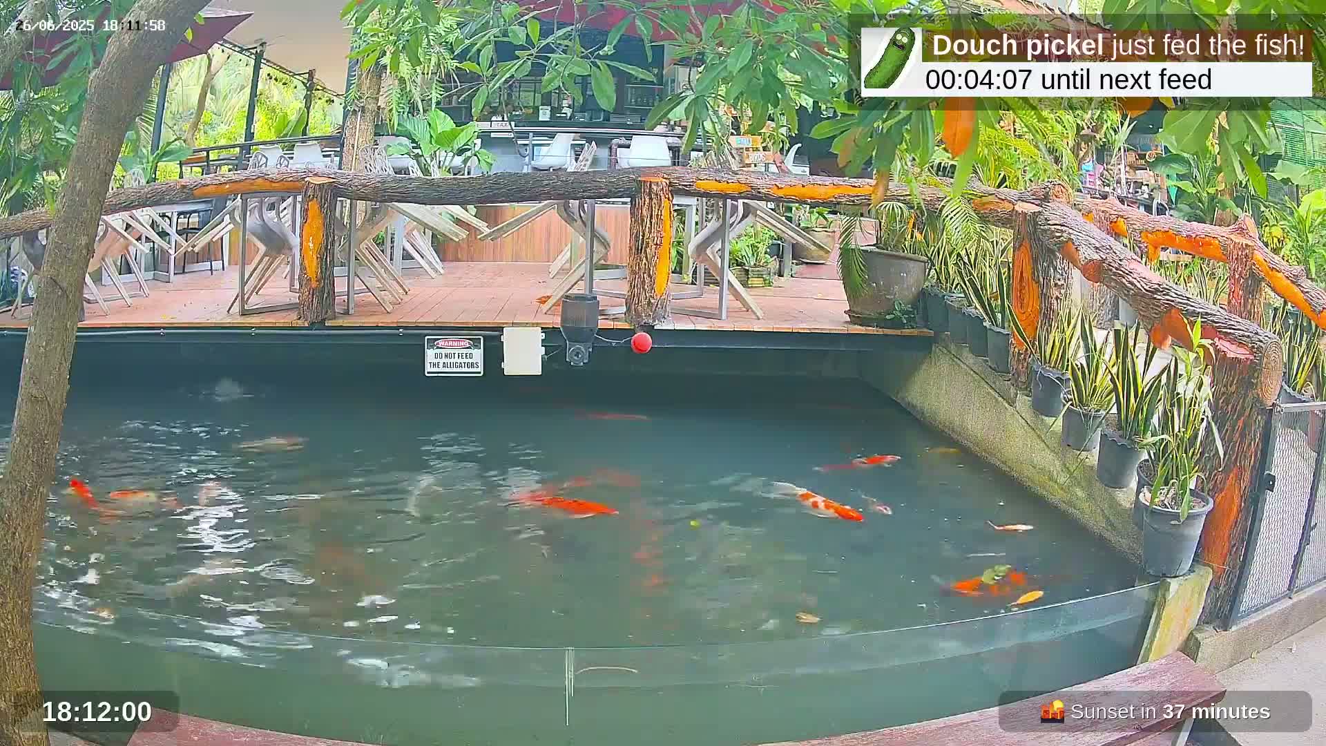 Zoo Cafe · Feed the Life of Fishes, Emus, Deers, Turtles, Malas  Live Cam  - Amphoe Ko Pha - Ngan, Surat Thani, Thailand