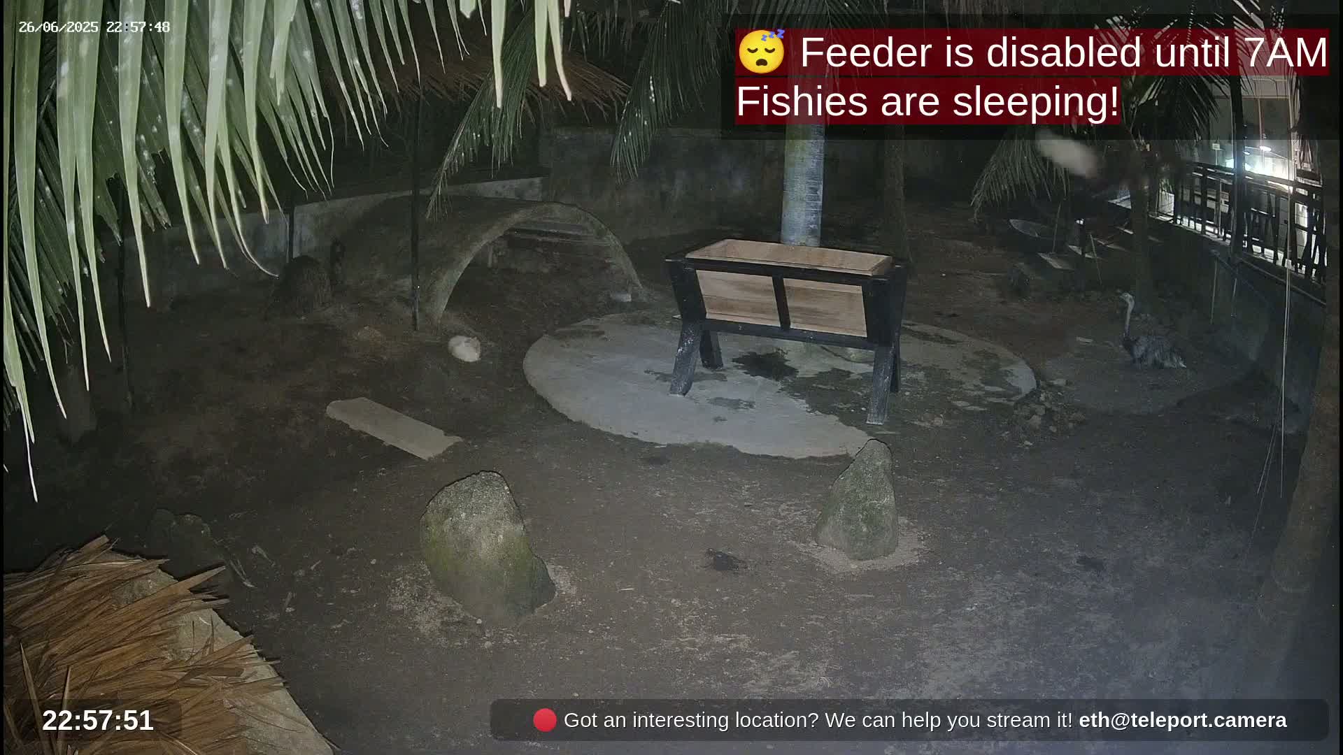Zoo Cafe · Feed the Life of Fishes, Emus, Deers, Turtles, Malas  Live Cam  - Amphoe Ko Pha - Ngan, Surat Thani, Thailand
