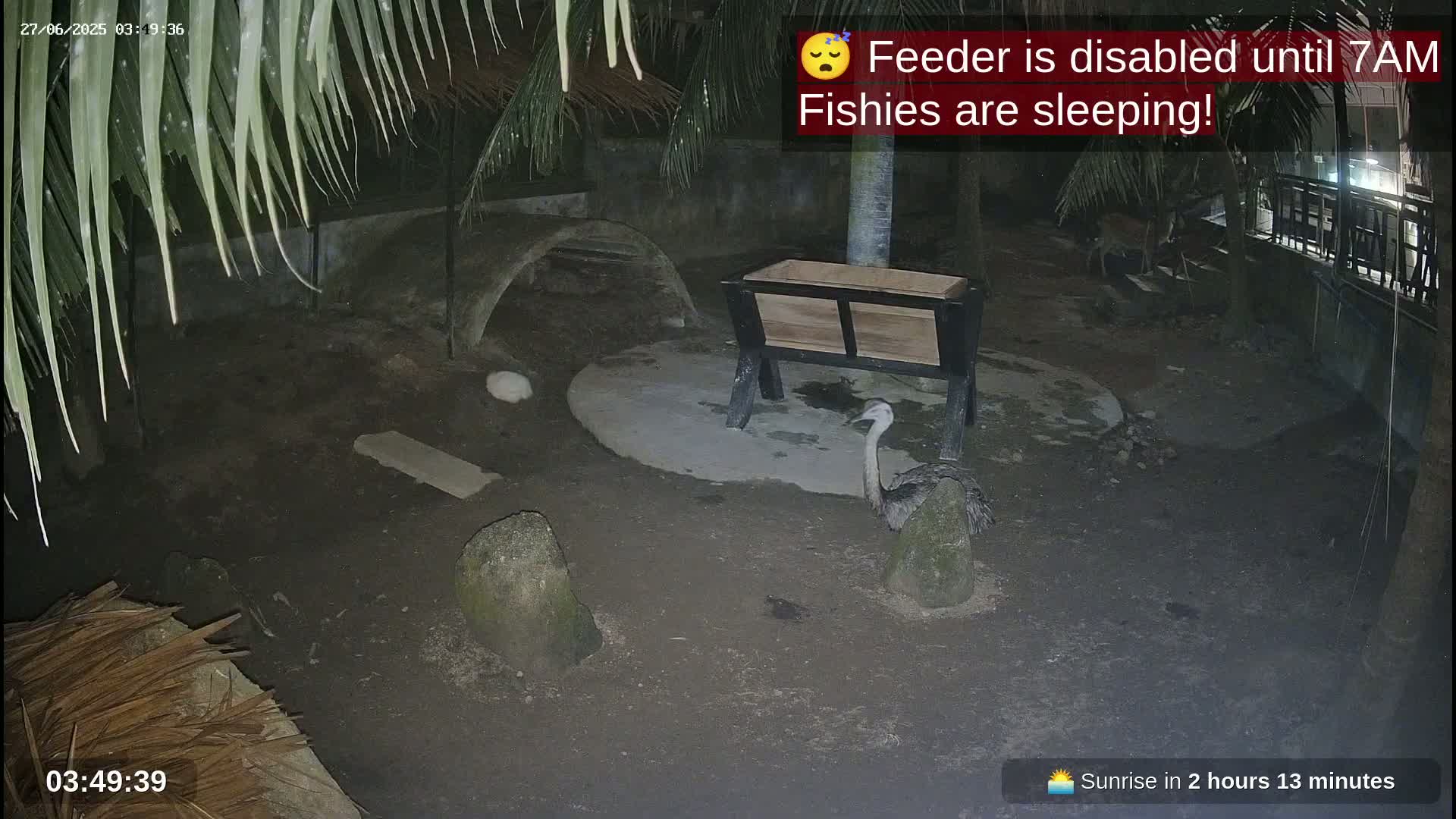 Zoo Cafe · Feed the Life of Fishes, Emus, Deers, Turtles, Malas  Live Cam  - Amphoe Ko Pha - Ngan, Surat Thani, Thailand