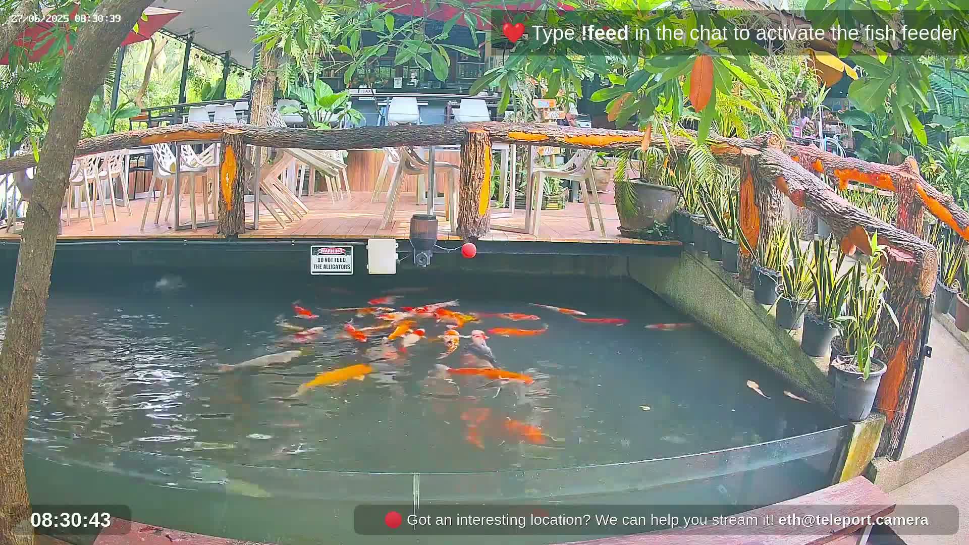 Zoo Cafe · Feed the Life of Fishes, Emus, Deers, Turtles, Malas  Live Cam  - Amphoe Ko Pha - Ngan, Surat Thani, Thailand