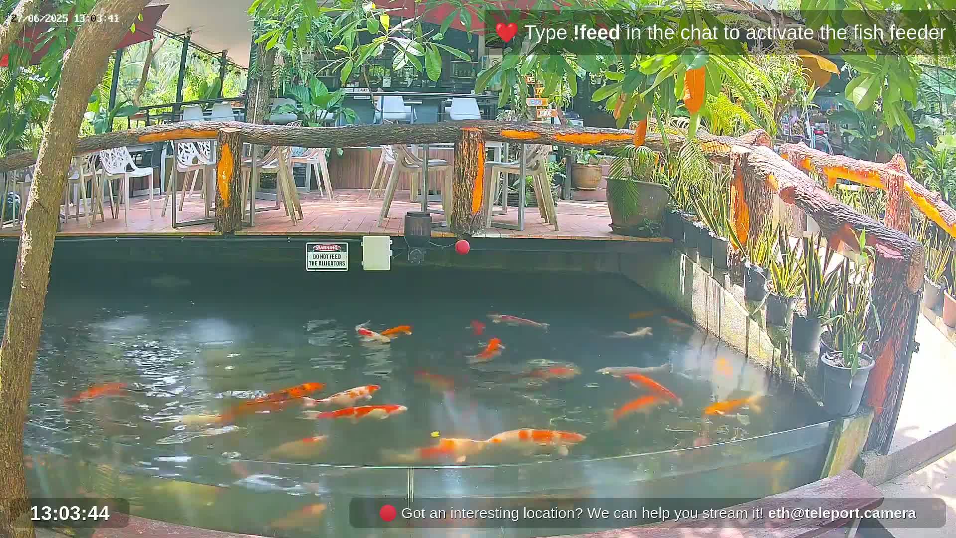 Zoo Cafe · Feed the Life of Fishes, Emus, Deers, Turtles, Malas  Live Cam  - Amphoe Ko Pha - Ngan, Surat Thani, Thailand
