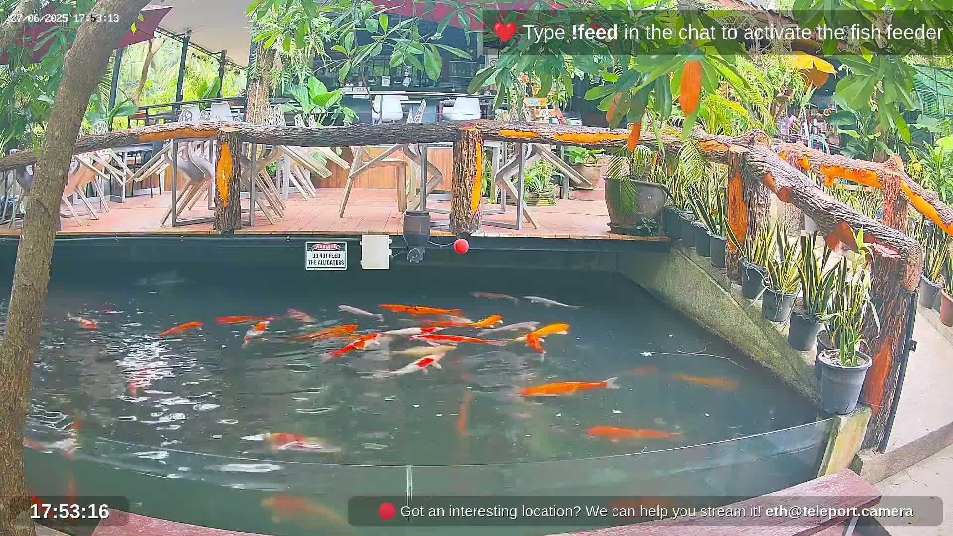 Zoo Cafe · Feed the Life of Fishes, Emus, Deers, Turtles, Malas  Live Cam  - Amphoe Ko Pha - Ngan, Surat Thani, Thailand