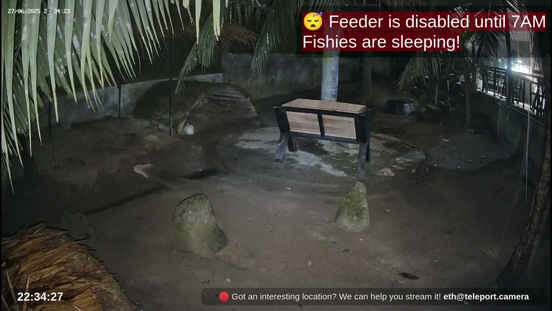 Zoo Cafe · Feed the Life of Fishes, Emus, Deers, Turtles, Malas  Live Cam  - Amphoe Ko Pha - Ngan, Surat Thani, Thailand