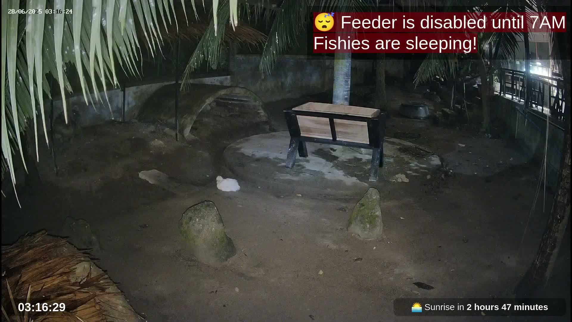 Zoo Cafe · Feed the Life of Fishes, Emus, Deers, Turtles, Malas  Live Cam  - Amphoe Ko Pha - Ngan, Surat Thani, Thailand