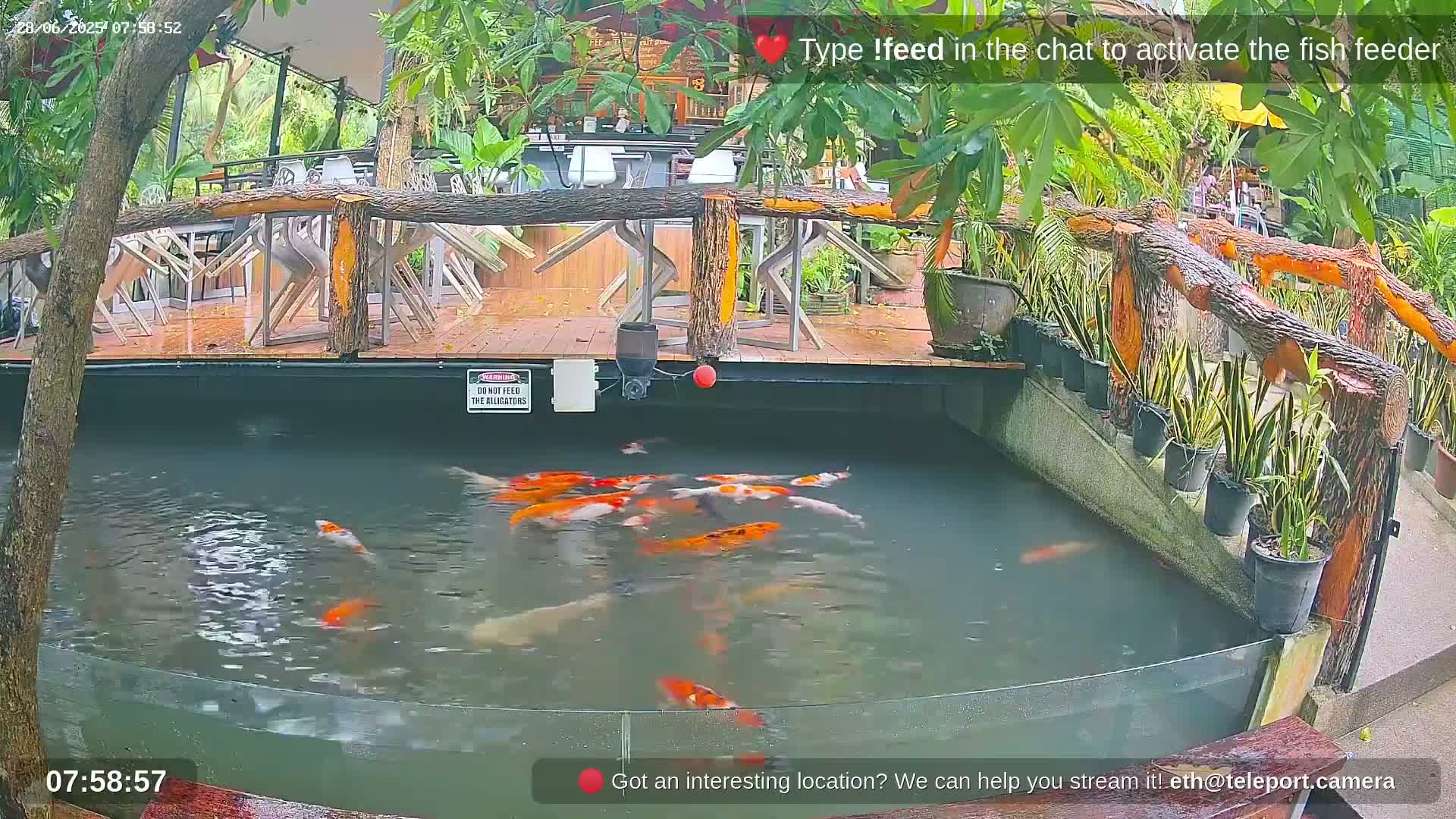 Zoo Cafe · Feed the Life of Fishes, Emus, Deers, Turtles, Malas  Live Cam  - Amphoe Ko Pha - Ngan, Surat Thani, Thailand