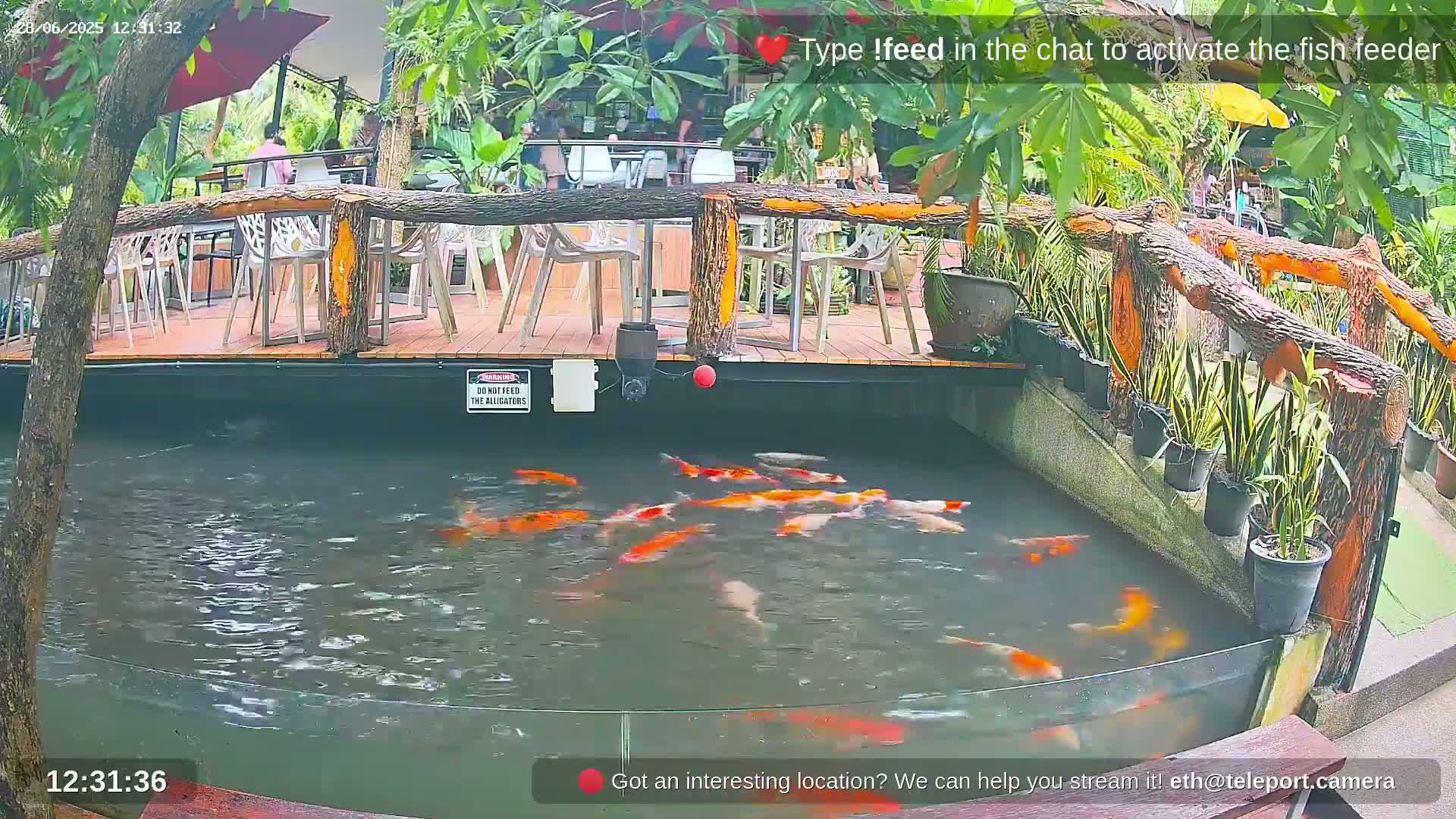 Zoo Cafe · Feed the Life of Fishes, Emus, Deers, Turtles, Malas  Live Cam  - Amphoe Ko Pha - Ngan, Surat Thani, Thailand