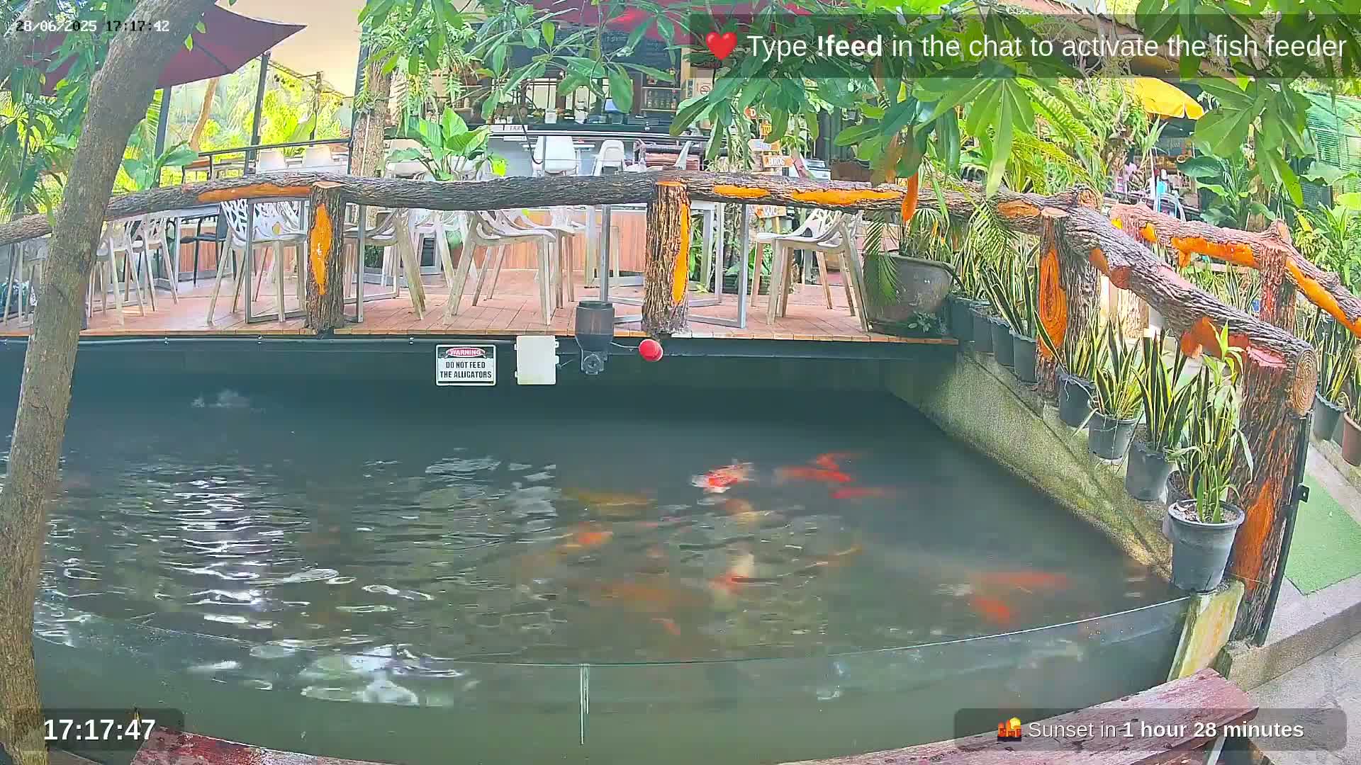 Zoo Cafe · Feed the Life of Fishes, Emus, Deers, Turtles, Malas  Live Cam  - Amphoe Ko Pha - Ngan, Surat Thani, Thailand