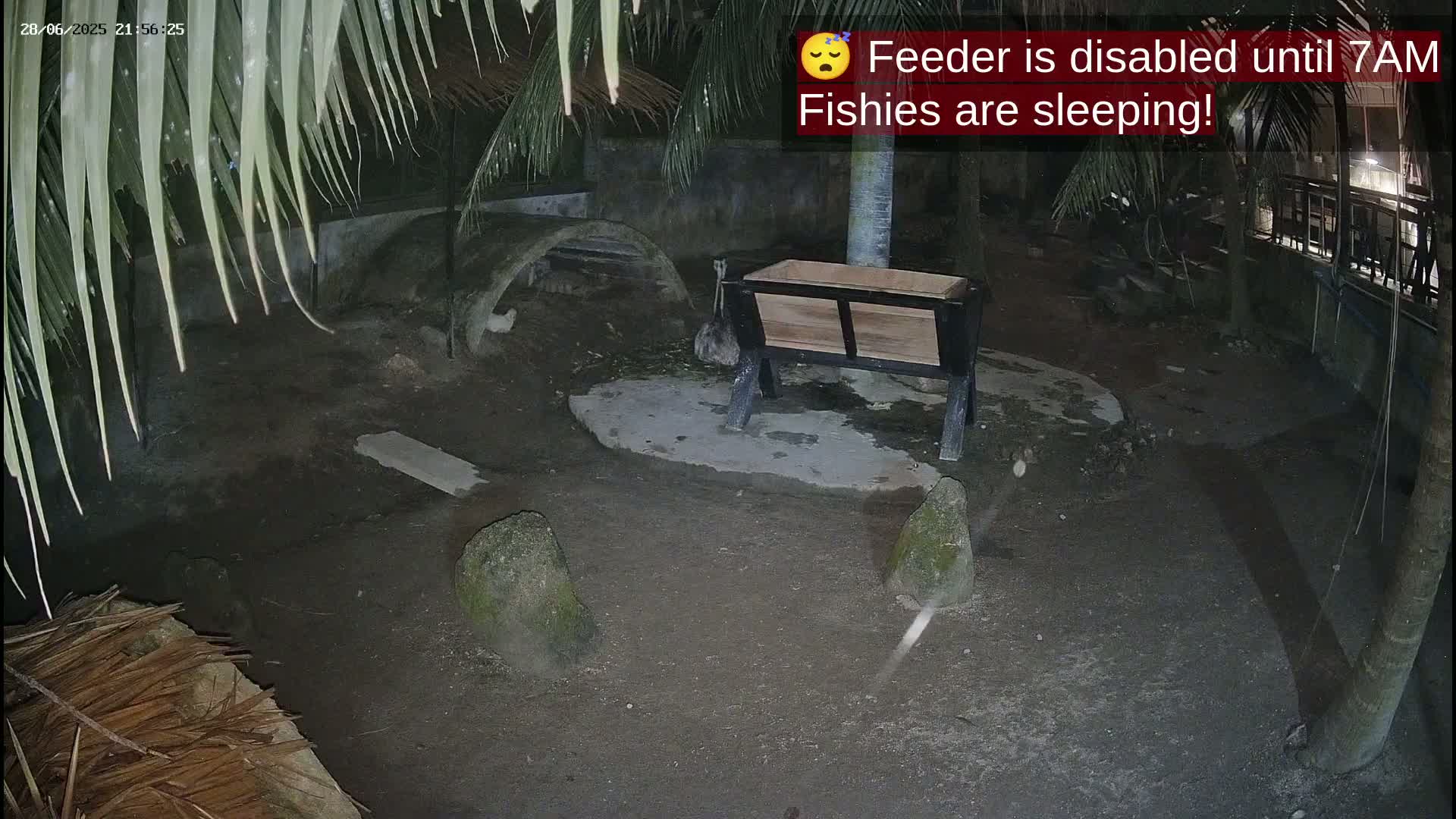 Zoo Cafe · Feed the Life of Fishes, Emus, Deers, Turtles, Malas  Live Cam  - Amphoe Ko Pha - Ngan, Surat Thani, Thailand