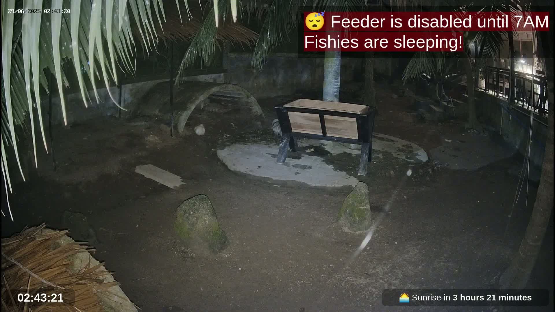 Zoo Cafe · Feed the Life of Fishes, Emus, Deers, Turtles, Malas  Live Cam  - Amphoe Ko Pha - Ngan, Surat Thani, Thailand