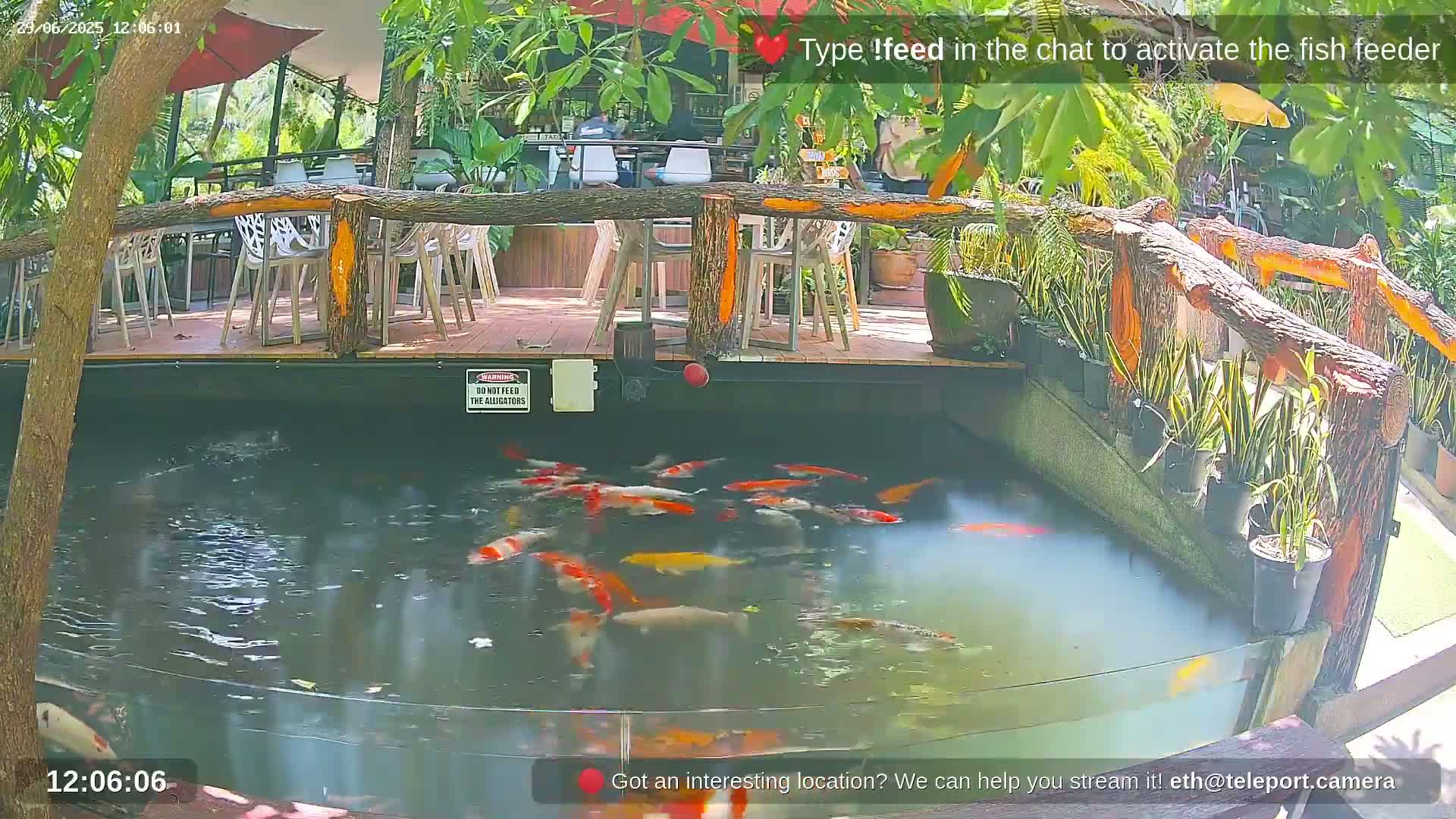 Zoo Cafe · Feed the Life of Fishes, Emus, Deers, Turtles, Malas  Live Cam  - Amphoe Ko Pha - Ngan, Surat Thani, Thailand