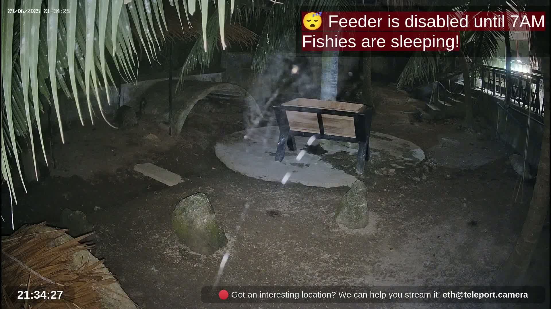 Zoo Cafe · Feed the Life of Fishes, Emus, Deers, Turtles, Malas  Live Cam  - Amphoe Ko Pha - Ngan, Surat Thani, Thailand