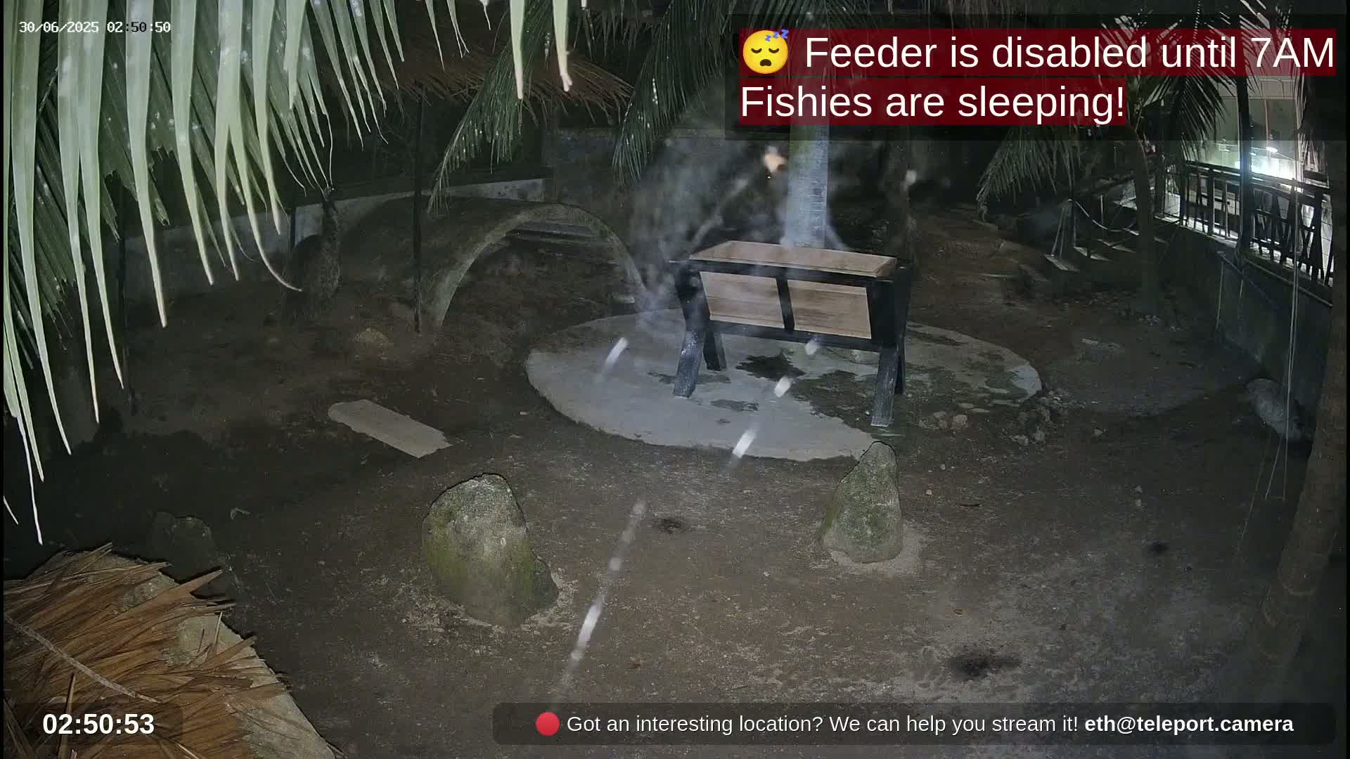 Zoo Cafe · Feed the Life of Fishes, Emus, Deers, Turtles, Malas  Live Cam  - Amphoe Ko Pha - Ngan, Surat Thani, Thailand