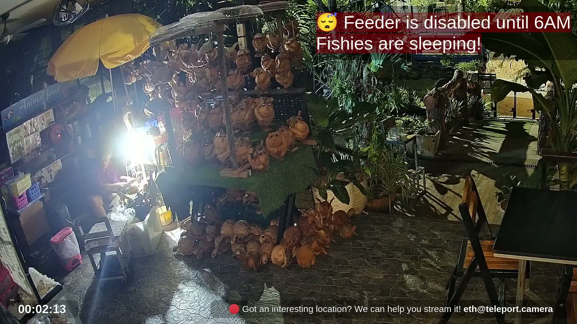 Zoo Cafe · Feed the Life of Fishes, Emus, Deers, Turtles, Malas  Live Cam  - Amphoe Ko Pha - Ngan, Surat Thani, Thailand