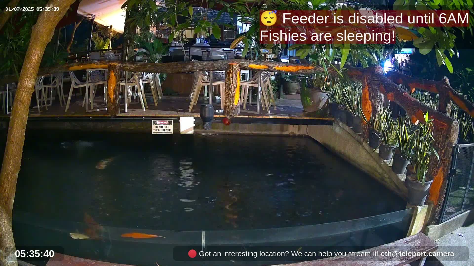 Zoo Cafe · Feed the Life of Fishes, Emus, Deers, Turtles, Malas  Live Cam  - Amphoe Ko Pha - Ngan, Surat Thani, Thailand