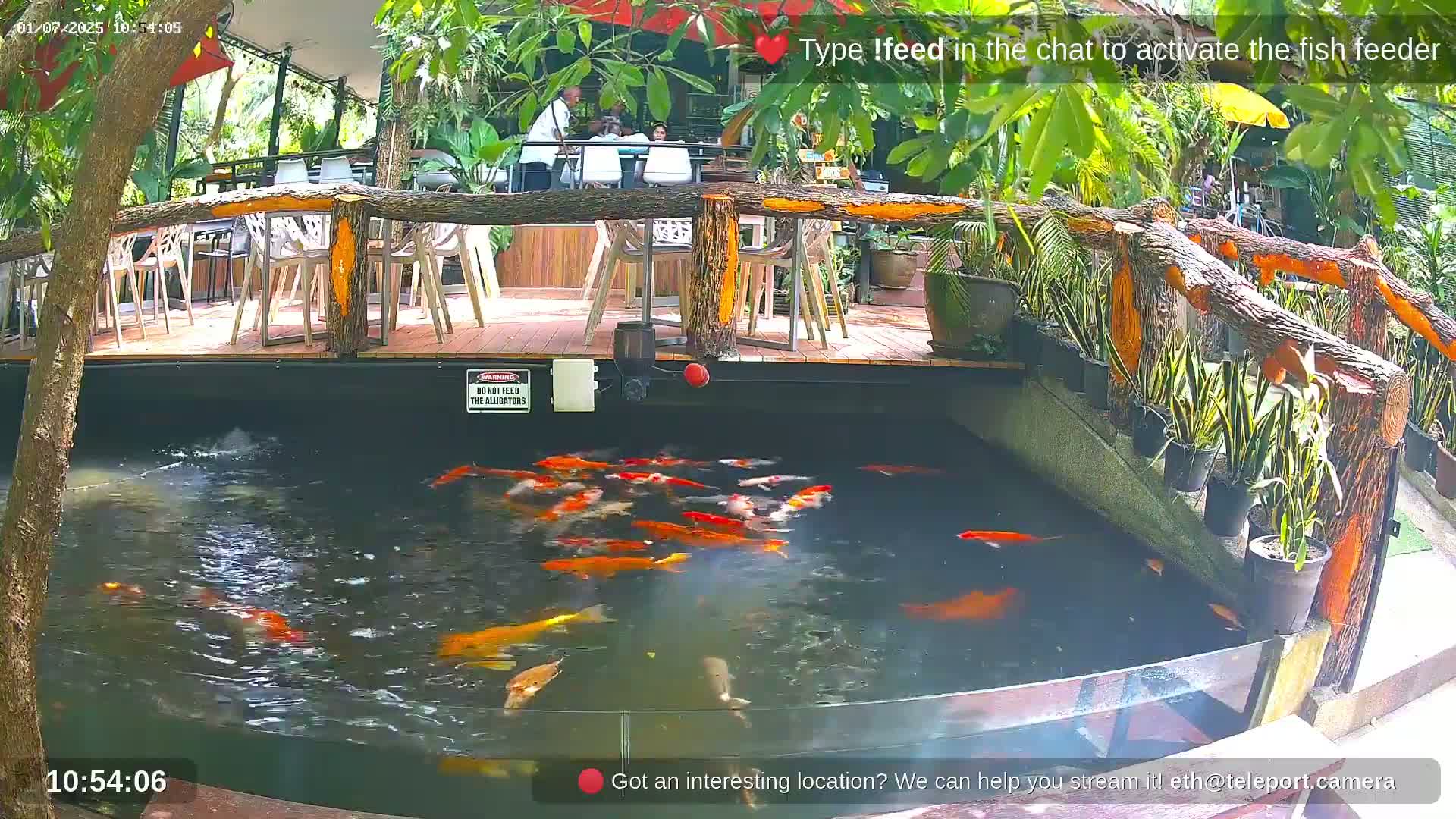 Zoo Cafe · Feed the Life of Fishes, Emus, Deers, Turtles, Malas  Live Cam  - Amphoe Ko Pha - Ngan, Surat Thani, Thailand