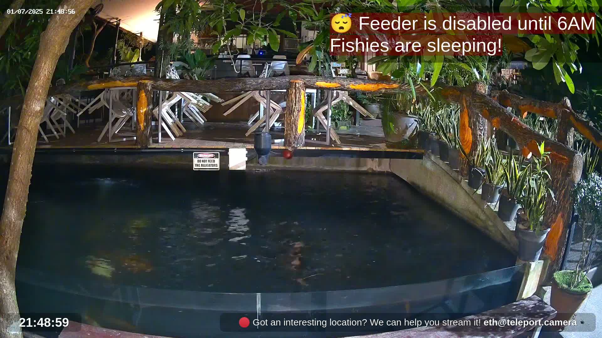 Zoo Cafe · Feed the Life of Fishes, Emus, Deers, Turtles, Malas  Live Cam  - Amphoe Ko Pha - Ngan, Surat Thani, Thailand