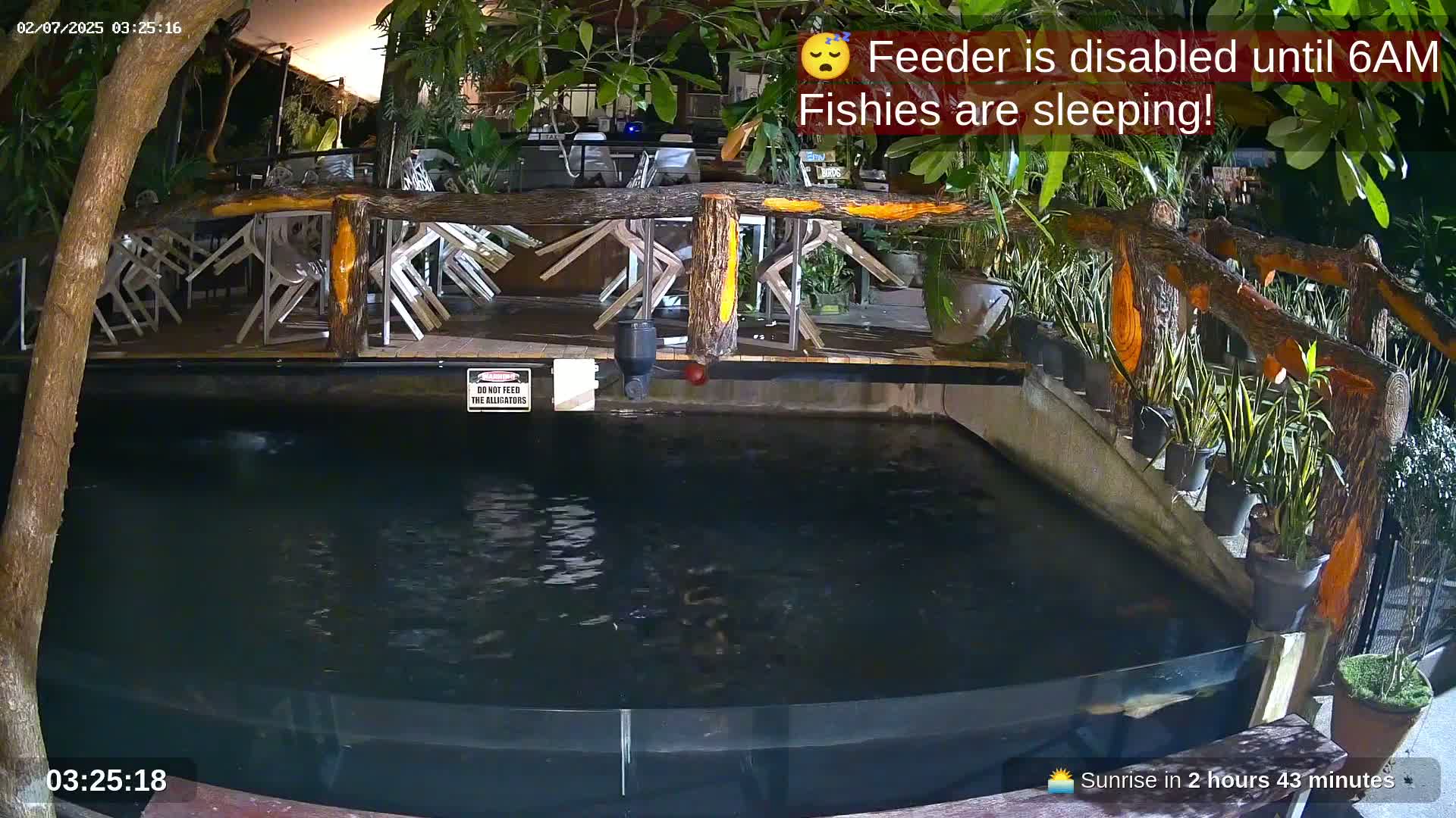 Zoo Cafe · Feed the Life of Fishes, Emus, Deers, Turtles, Malas  Live Cam  - Amphoe Ko Pha - Ngan, Surat Thani, Thailand