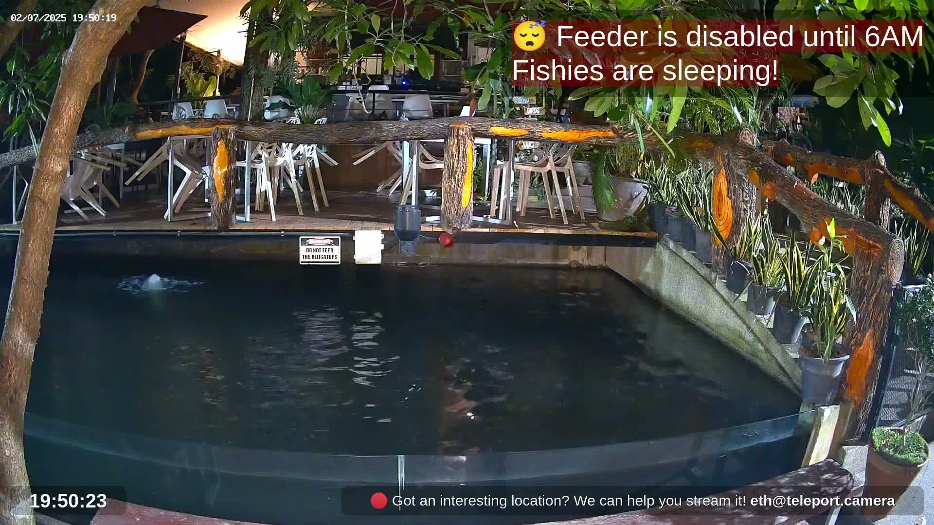 Zoo Cafe · Feed the Life of Fishes, Emus, Deers, Turtles, Malas  Live Cam  - Amphoe Ko Pha - Ngan, Surat Thani, Thailand