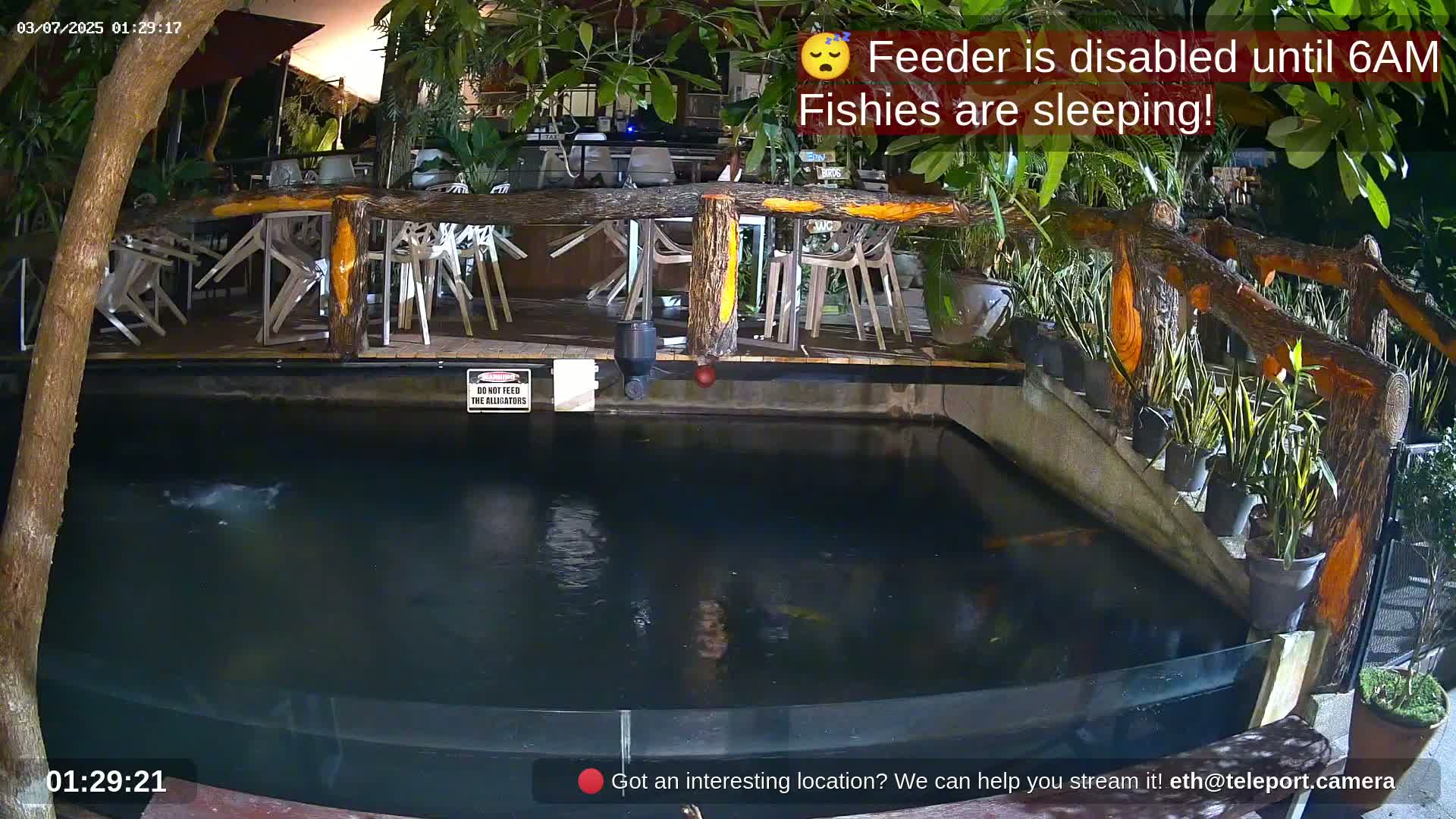 Zoo Cafe · Feed the Life of Fishes, Emus, Deers, Turtles, Malas  Live Cam  - Amphoe Ko Pha - Ngan, Surat Thani, Thailand