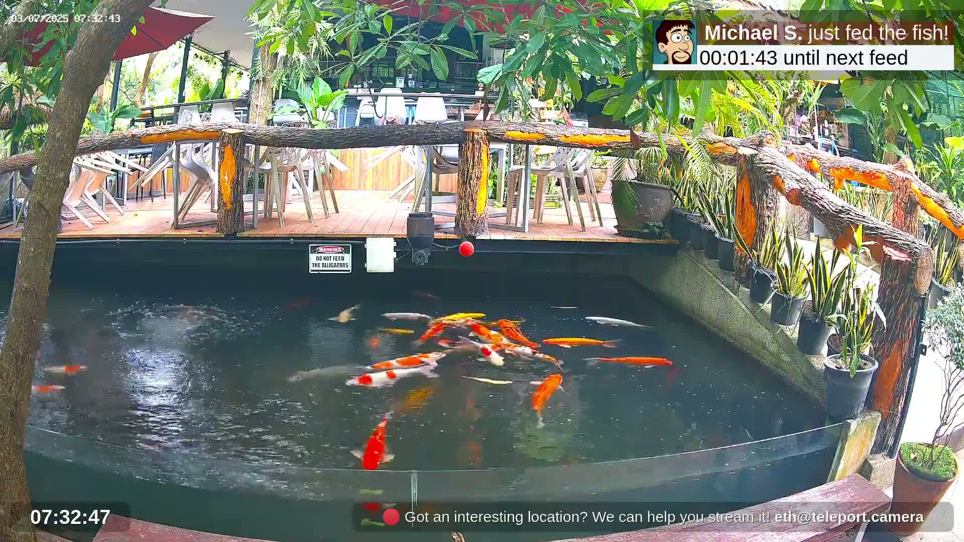 Zoo Cafe · Feed the Life of Fishes, Emus, Deers, Turtles, Malas  Live Cam  - Amphoe Ko Pha - Ngan, Surat Thani, Thailand