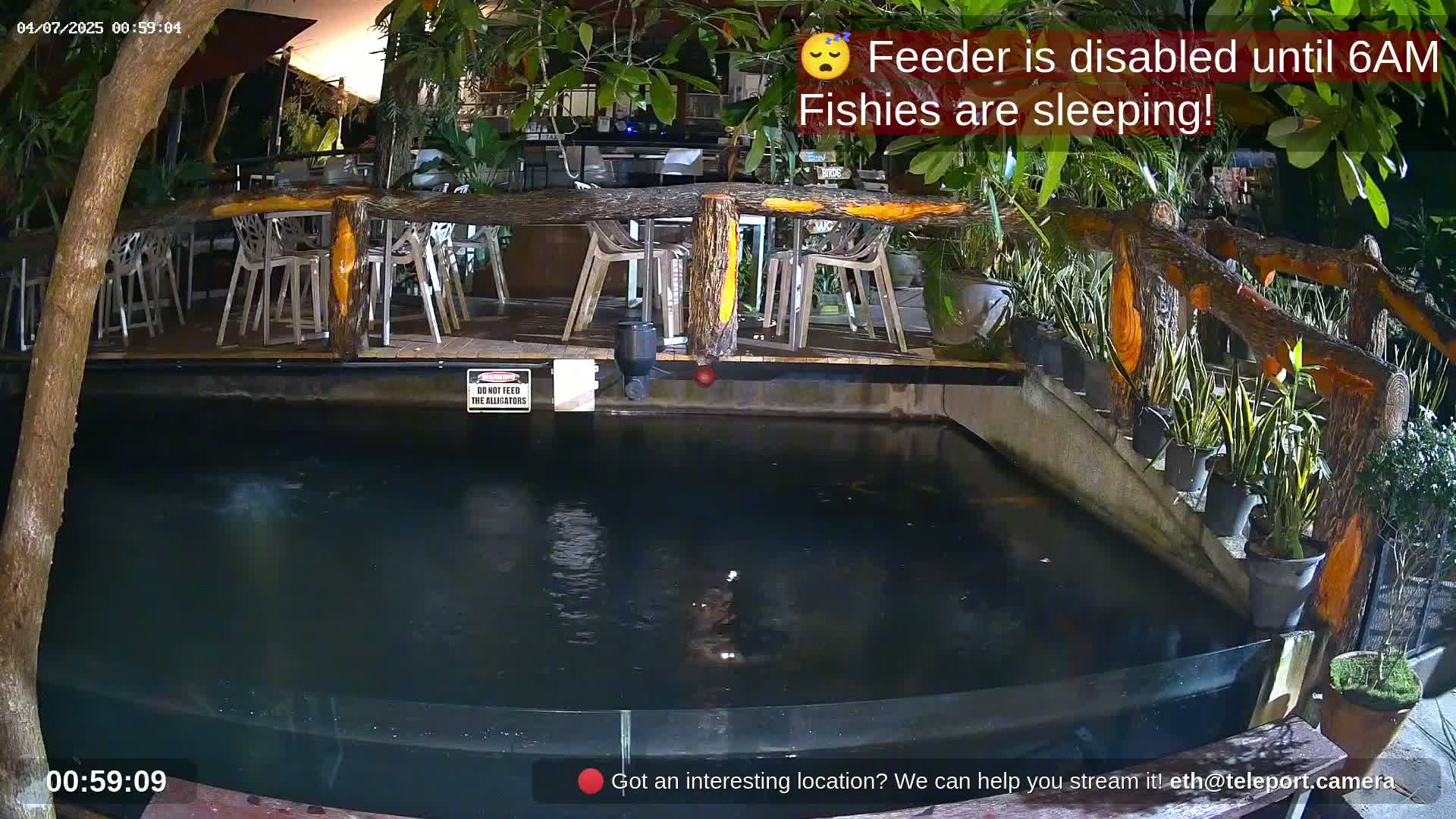Zoo Cafe · Feed the Life of Fishes, Emus, Deers, Turtles, Malas  Live Cam  - Amphoe Ko Pha - Ngan, Surat Thani, Thailand