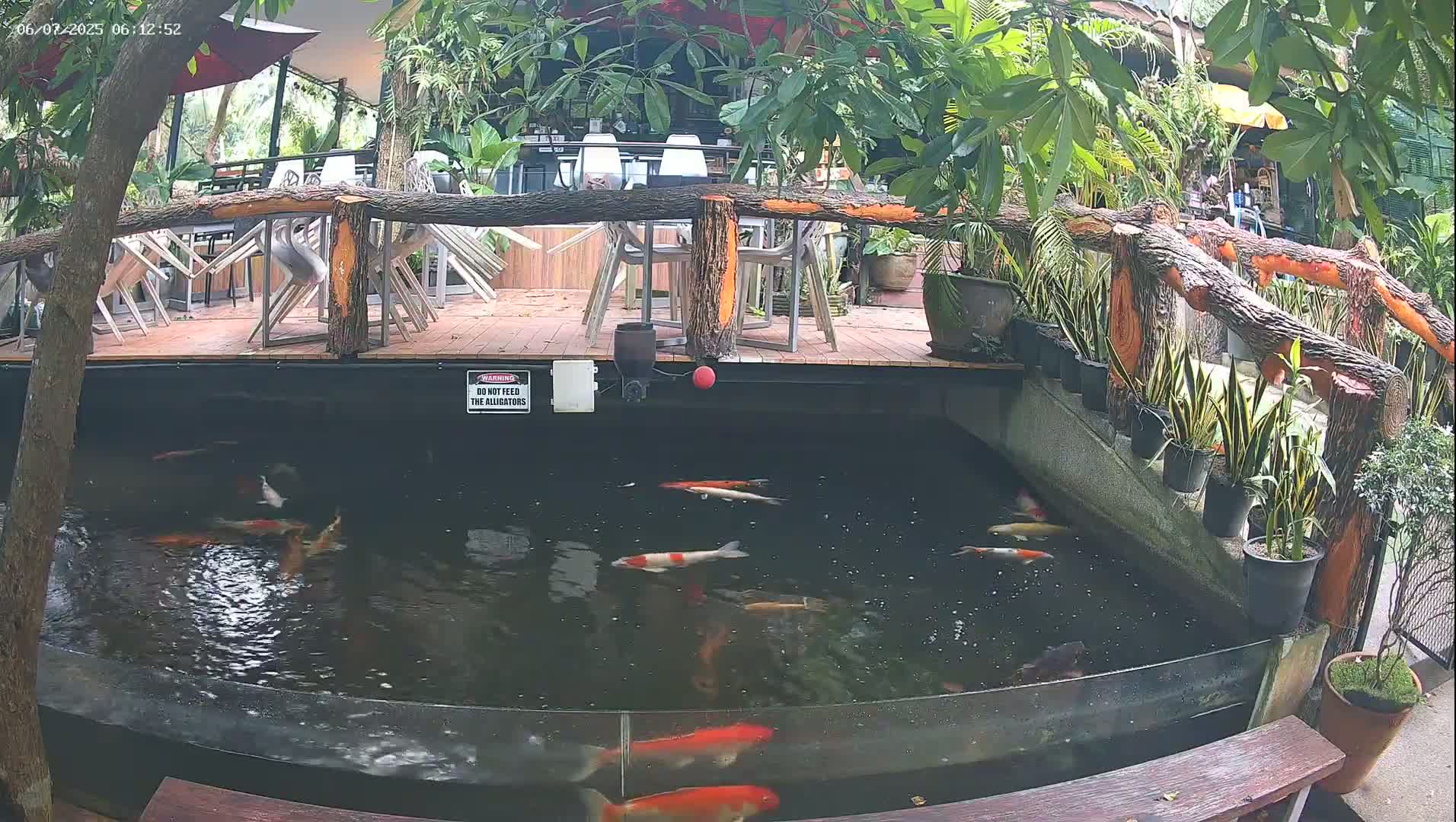 Zoo Cafe · Feed the Life of Fishes, Emus, Deers, Turtles, Malas  Live Cam  - Amphoe Ko Pha - Ngan, Surat Thani, Thailand