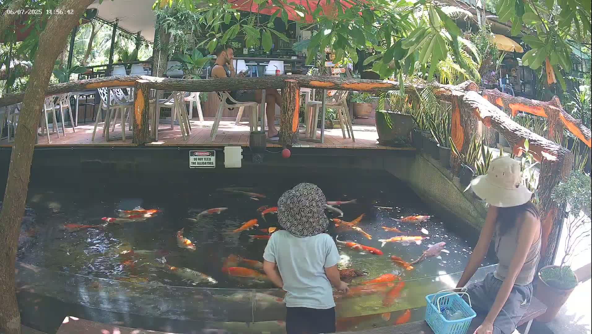 Zoo Cafe · Feed the Life of Fishes, Emus, Deers, Turtles, Malas  Live Cam  - Amphoe Ko Pha - Ngan, Surat Thani, Thailand