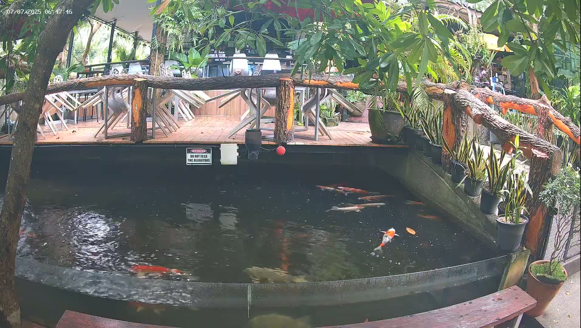 Zoo Cafe · Feed the Life of Fishes, Emus, Deers, Turtles, Malas  Live Cam  - Amphoe Ko Pha - Ngan, Surat Thani, Thailand