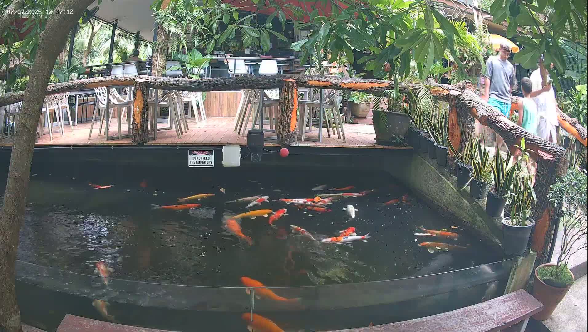 Zoo Cafe · Feed the Life of Fishes, Emus, Deers, Turtles, Malas  Live Cam  - Amphoe Ko Pha - Ngan, Surat Thani, Thailand