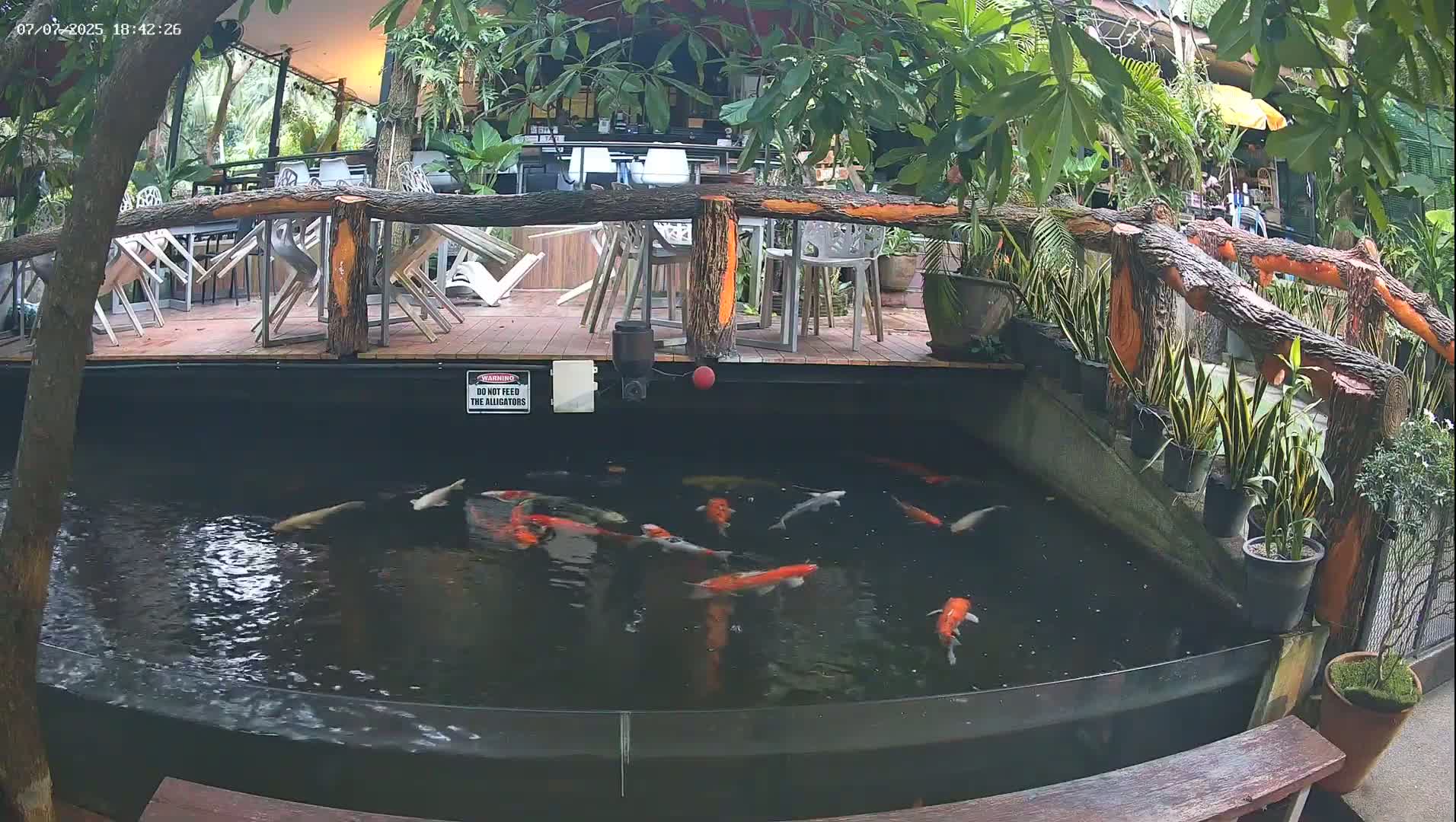 Zoo Cafe · Feed the Life of Fishes, Emus, Deers, Turtles, Malas  Live Cam  - Amphoe Ko Pha - Ngan, Surat Thani, Thailand