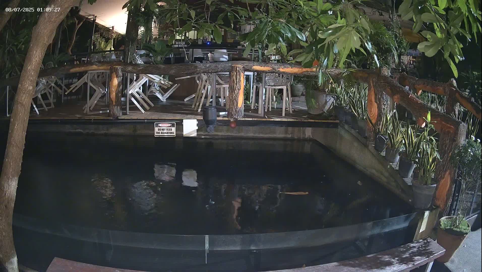 Zoo Cafe · Feed the Life of Fishes, Emus, Deers, Turtles, Malas  Live Cam  - Amphoe Ko Pha - Ngan, Surat Thani, Thailand