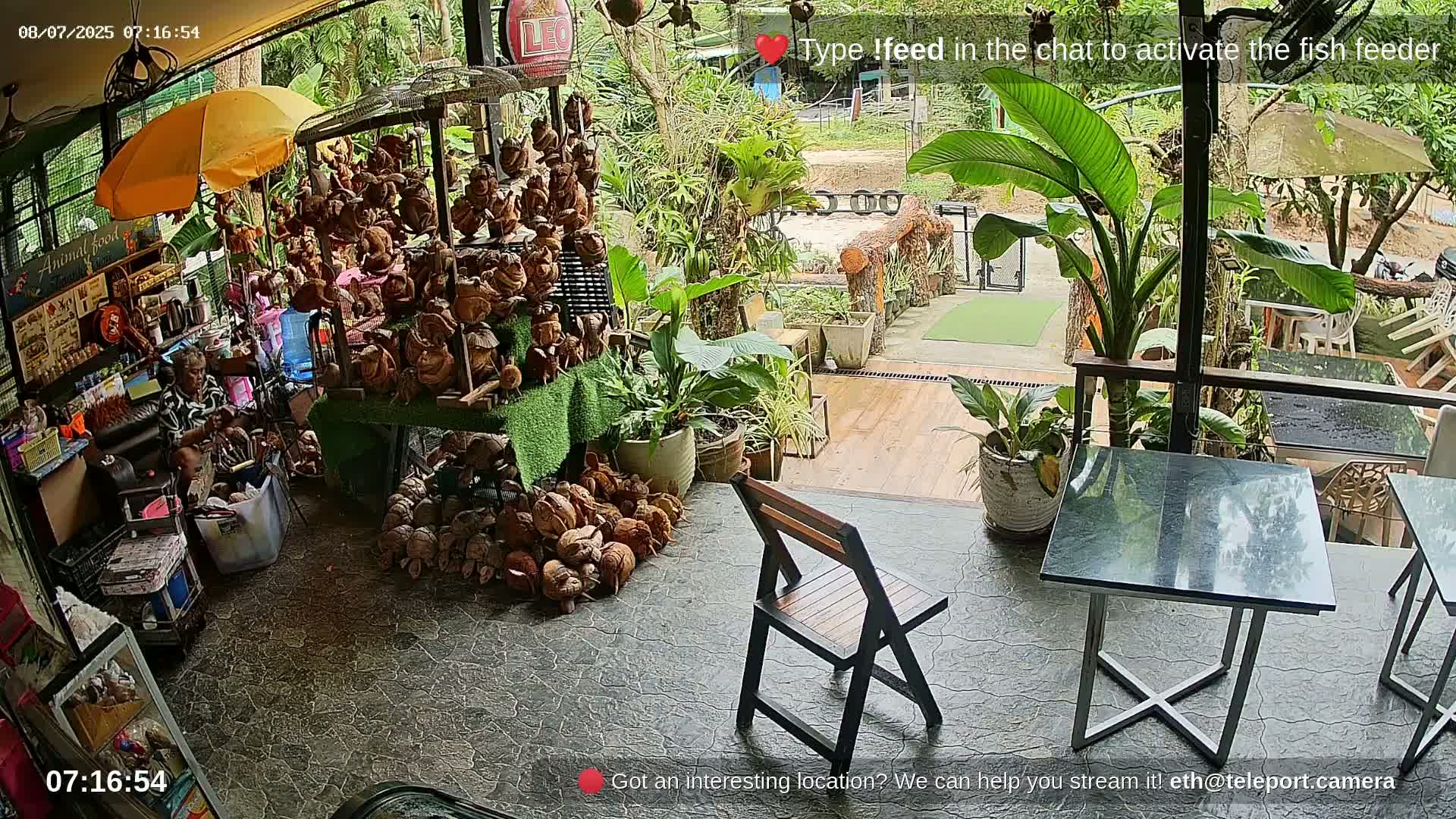 Zoo Cafe · Feed the Life of Fishes, Emus, Deers, Turtles, Malas  Live Cam  - Amphoe Ko Pha - Ngan, Surat Thani, Thailand