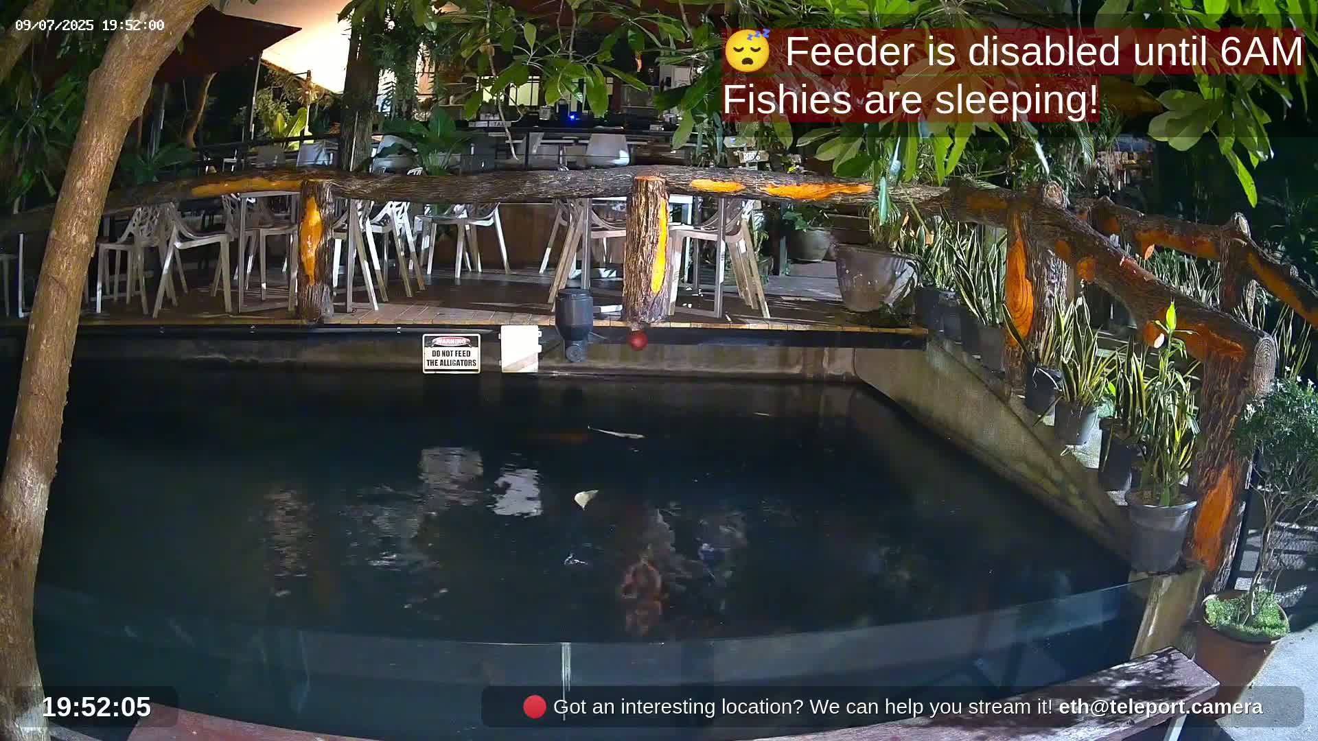 Zoo Cafe · Feed the Life of Fishes, Emus, Deers, Turtles, Malas  Live Cam  - Amphoe Ko Pha - Ngan, Surat Thani, Thailand