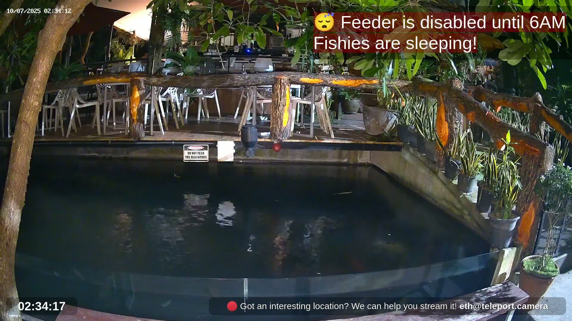 Zoo Cafe · Feed the Life of Fishes, Emus, Deers, Turtles, Malas  Live Cam  - Amphoe Ko Pha - Ngan, Surat Thani, Thailand