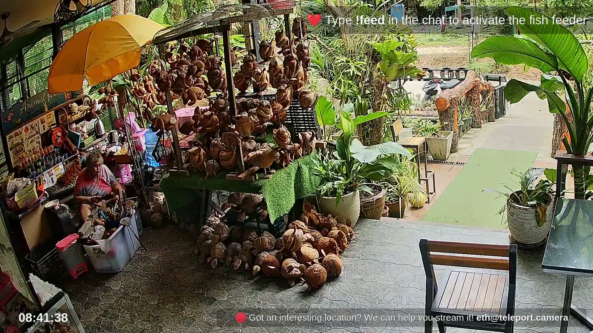 Zoo Cafe · Feed the Life of Fishes, Emus, Deers, Turtles, Malas  Live Cam  - Amphoe Ko Pha - Ngan, Surat Thani, Thailand