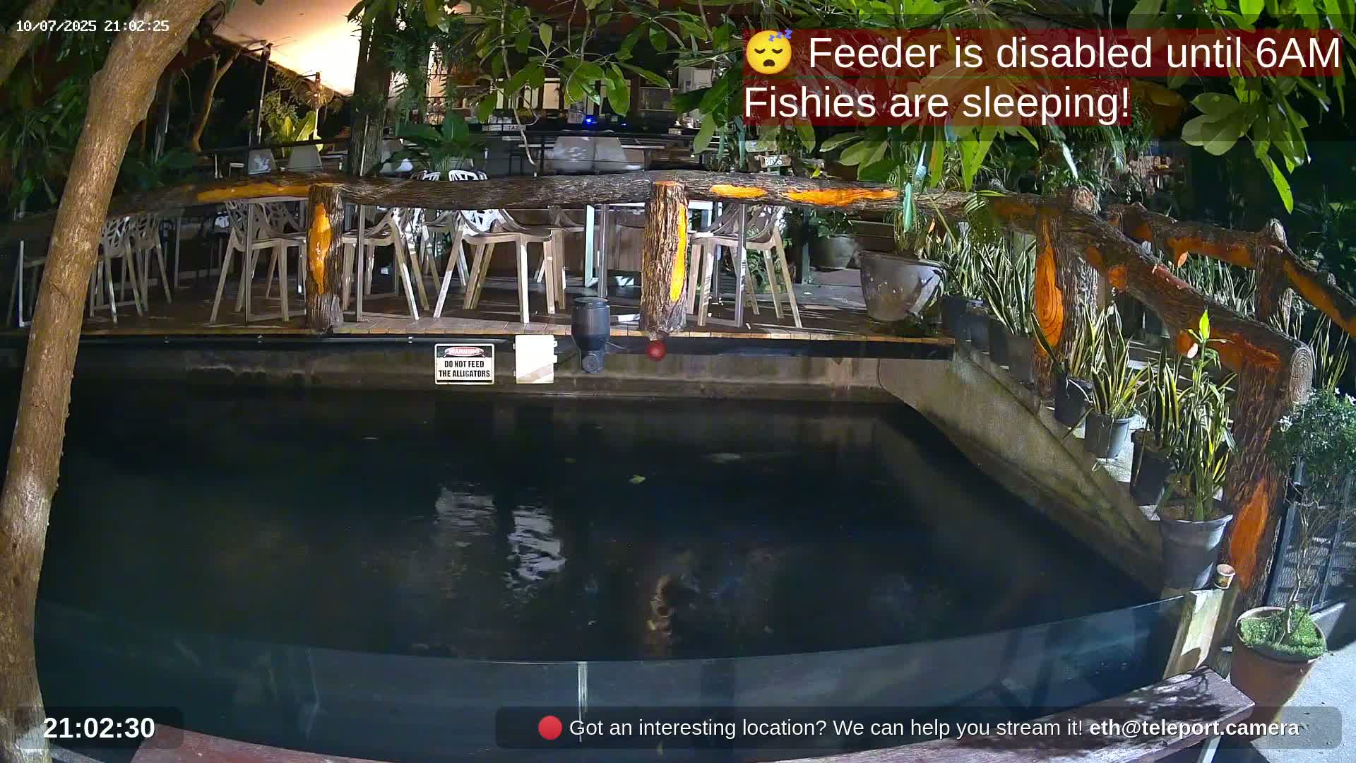 Zoo Cafe · Feed the Life of Fishes, Emus, Deers, Turtles, Malas  Live Cam  - Amphoe Ko Pha - Ngan, Surat Thani, Thailand