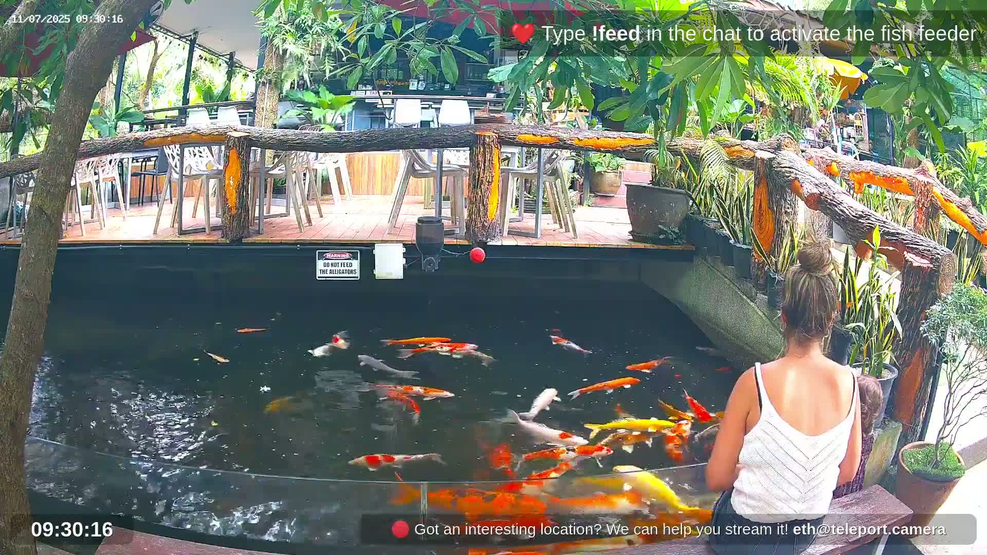 Zoo Cafe · Feed the Life of Fishes, Emus, Deers, Turtles, Malas  Live Cam  - Amphoe Ko Pha - Ngan, Surat Thani, Thailand