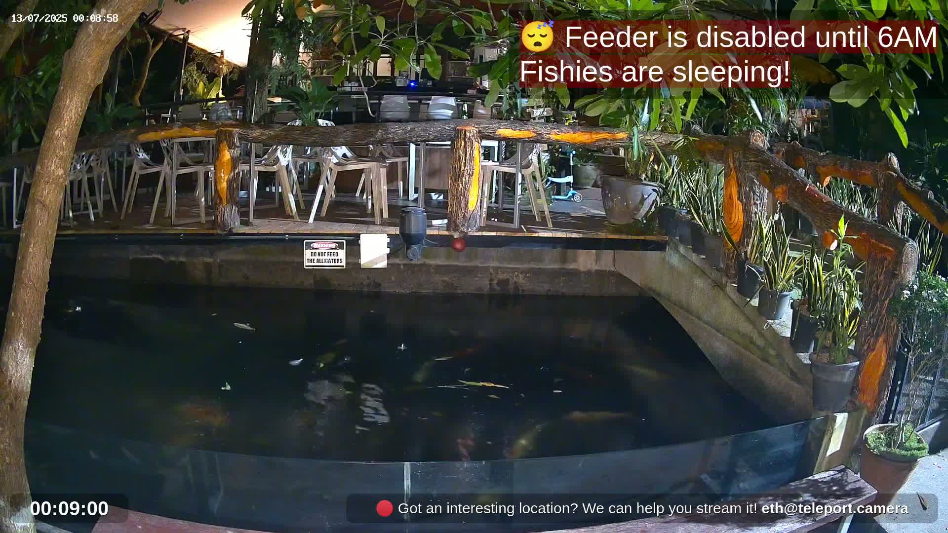 Zoo Cafe · Feed the Life of Fishes, Emus, Deers, Turtles, Malas  Live Cam  - Amphoe Ko Pha - Ngan, Surat Thani, Thailand