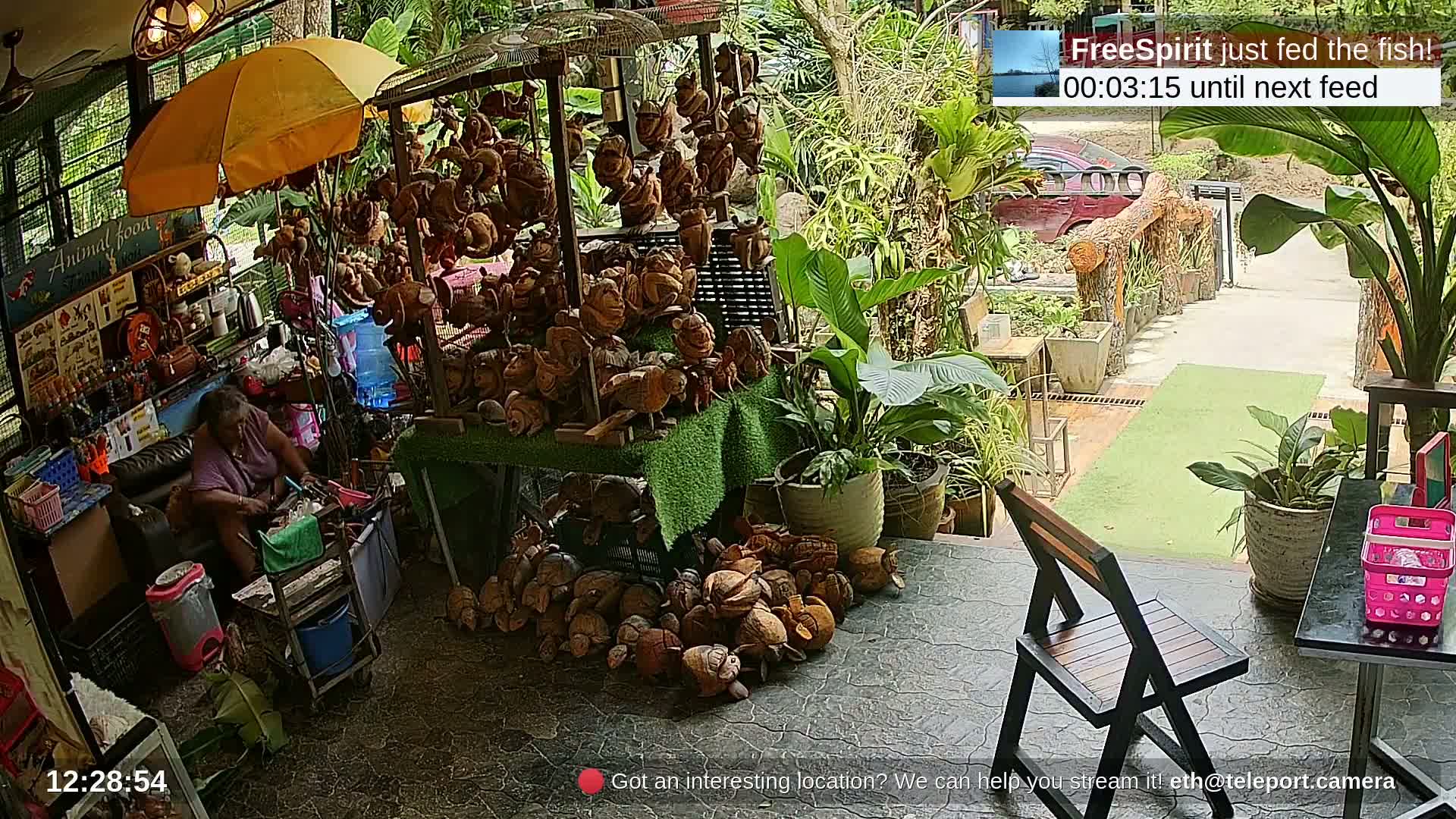 Zoo Cafe · Feed the Life of Fishes, Emus, Deers, Turtles, Malas  Live Cam  - Amphoe Ko Pha - Ngan, Surat Thani, Thailand