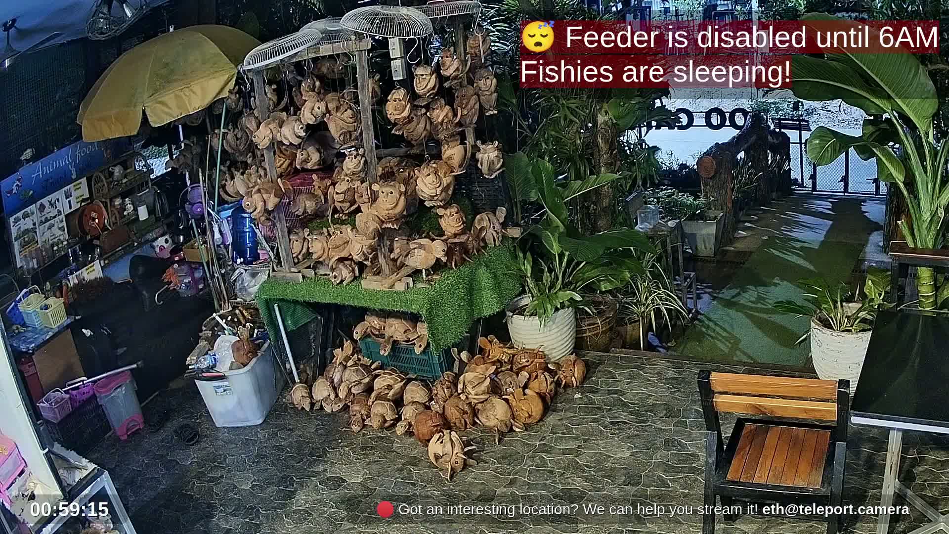 Zoo Cafe · Feed the Life of Fishes, Emus, Deers, Turtles, Malas  Live Cam  - Amphoe Ko Pha - Ngan, Surat Thani, Thailand