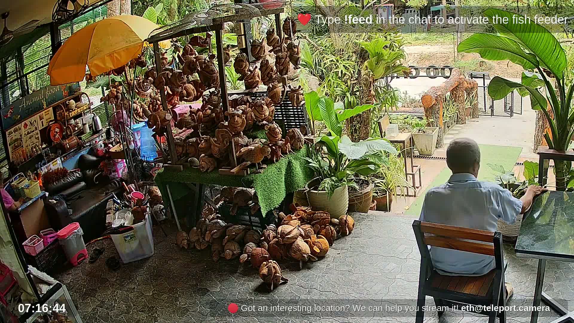 Zoo Cafe · Feed the Life of Fishes, Emus, Deers, Turtles, Malas  Live Cam  - Amphoe Ko Pha - Ngan, Surat Thani, Thailand