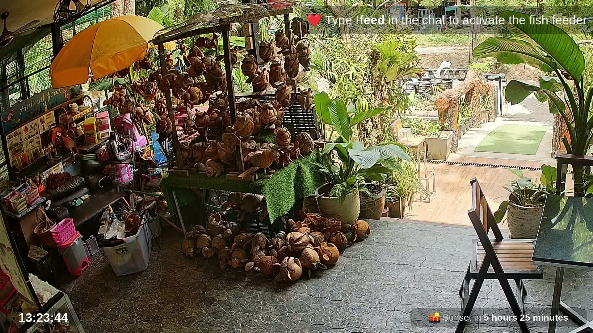 Zoo Cafe · Feed the Life of Fishes, Emus, Deers, Turtles, Malas  Live Cam  - Amphoe Ko Pha - Ngan, Surat Thani, Thailand