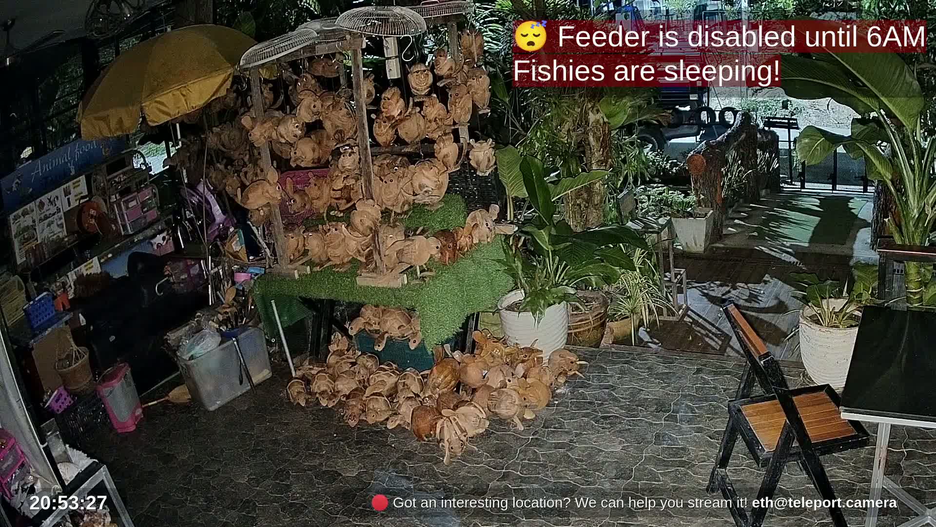 Zoo Cafe · Feed the Life of Fishes, Emus, Deers, Turtles, Malas  Live Cam  - Amphoe Ko Pha - Ngan, Surat Thani, Thailand