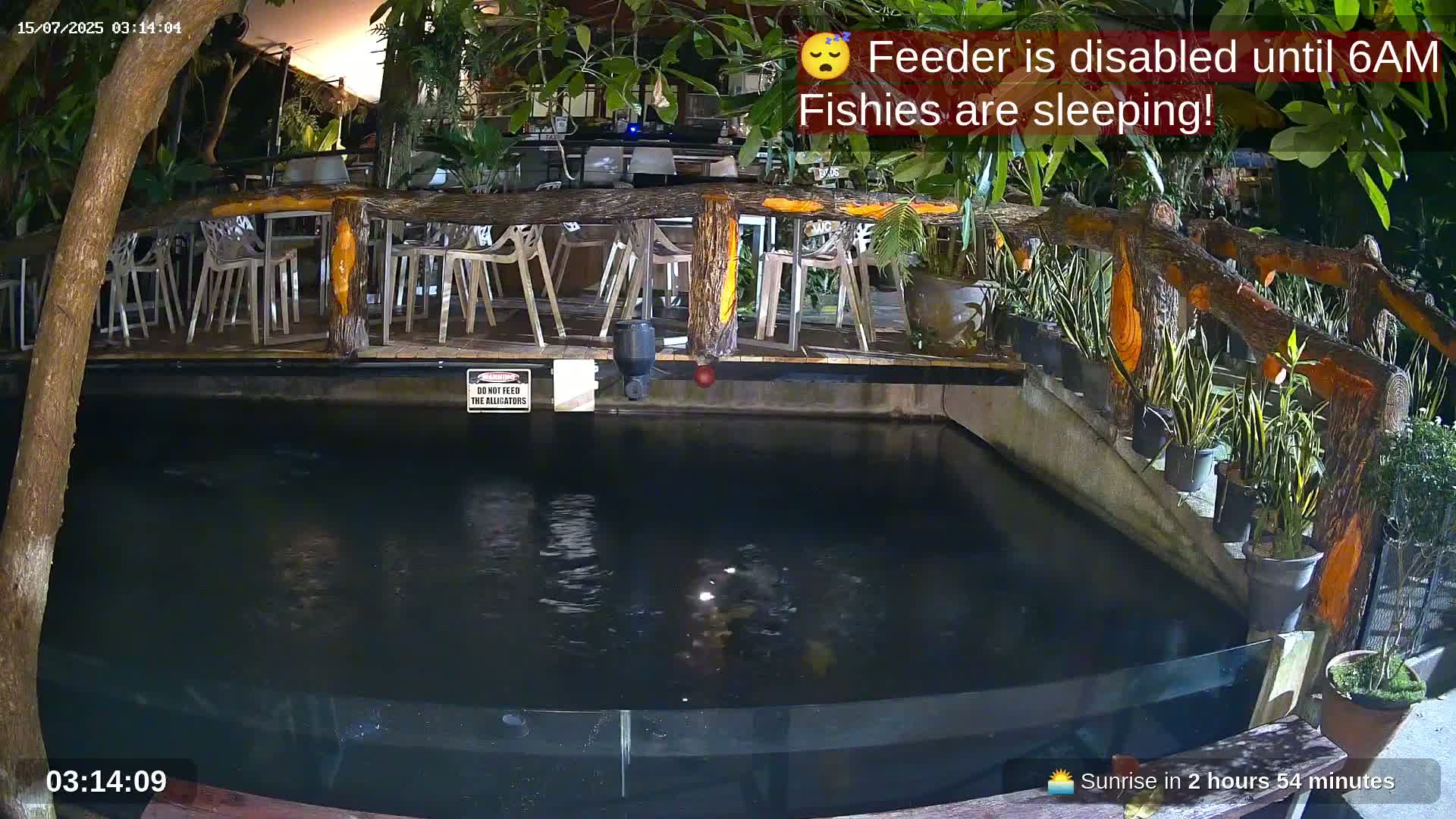 Zoo Cafe · Feed the Life of Fishes, Emus, Deers, Turtles, Malas  Live Cam  - Amphoe Ko Pha - Ngan, Surat Thani, Thailand