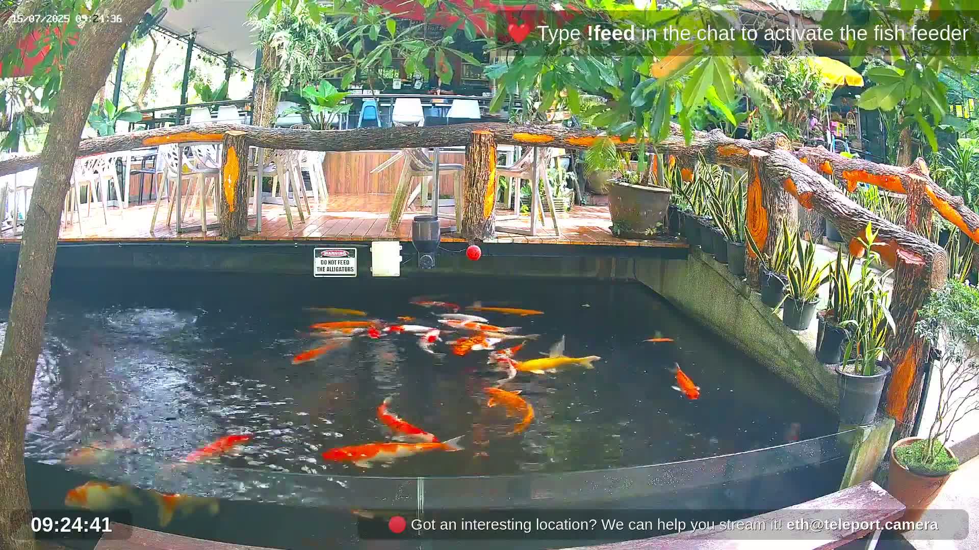 Zoo Cafe · Feed the Life of Fishes, Emus, Deers, Turtles, Malas  Live Cam  - Amphoe Ko Pha - Ngan, Surat Thani, Thailand