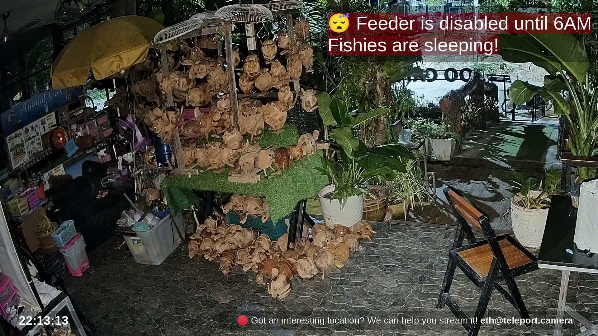 Zoo Cafe · Feed the Life of Fishes, Emus, Deers, Turtles, Malas  Live Cam  - Amphoe Ko Pha - Ngan, Surat Thani, Thailand