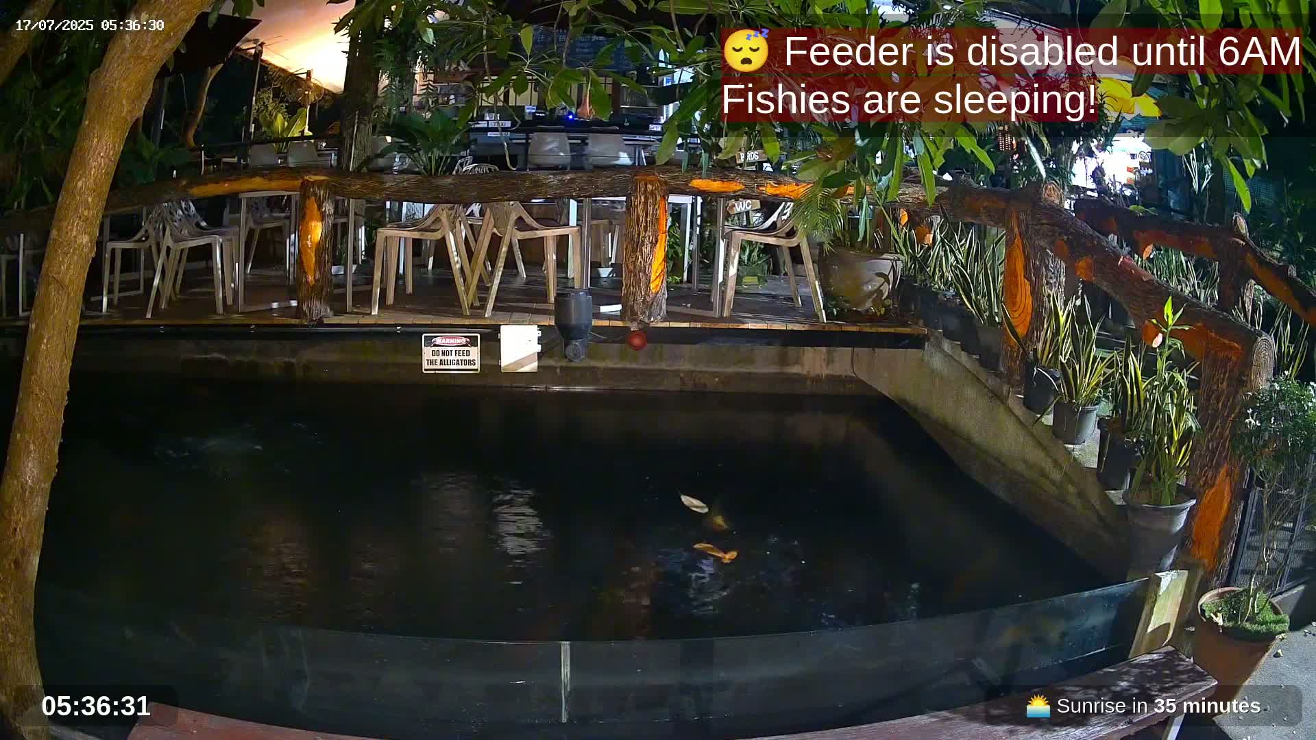 Zoo Cafe · Feed the Life of Fishes, Emus, Deers, Turtles, Malas  Live Cam  - Amphoe Ko Pha - Ngan, Surat Thani, Thailand