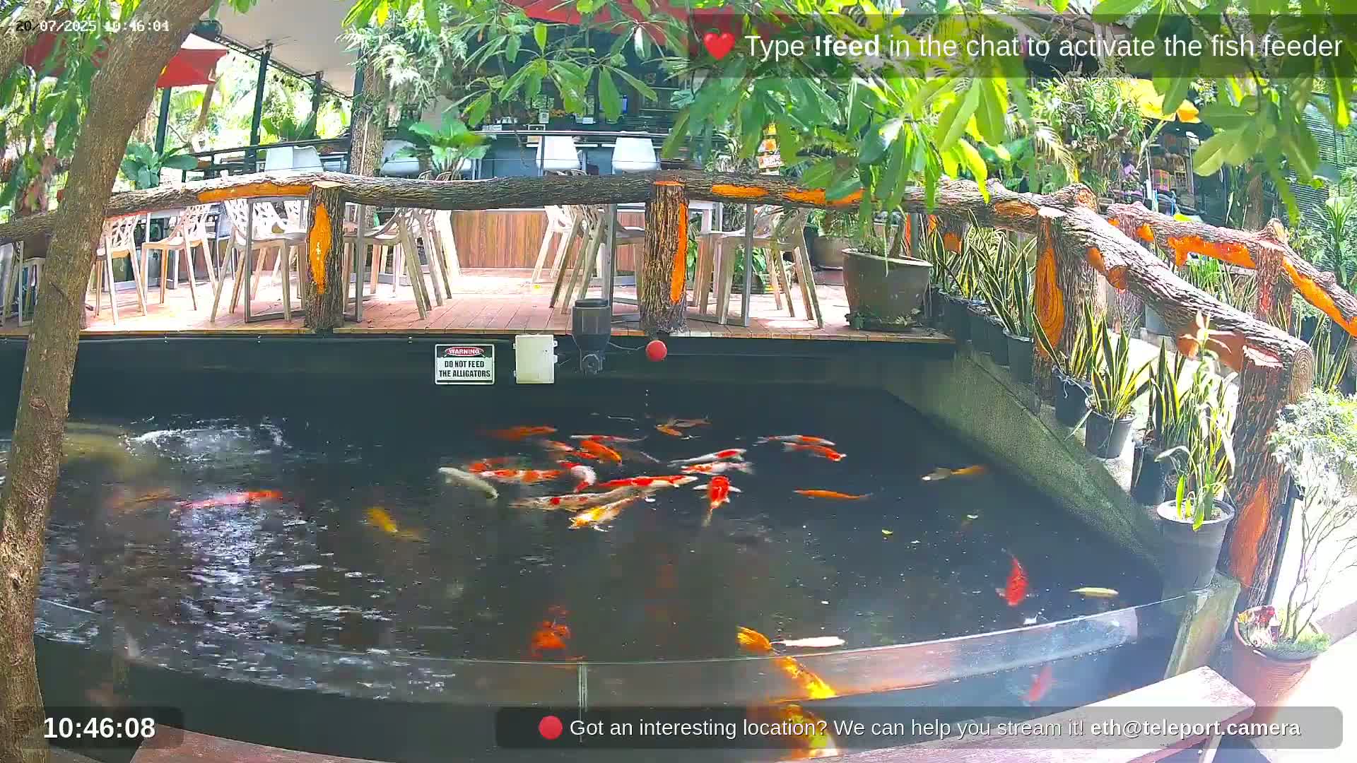 Zoo Cafe · Feed the Life of Fishes, Emus, Deers, Turtles, Malas  Live Cam  - Amphoe Ko Pha - Ngan, Surat Thani, Thailand